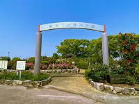 福岡でバラを見たいなら粕屋町駕与丁公園の「バラ園」
