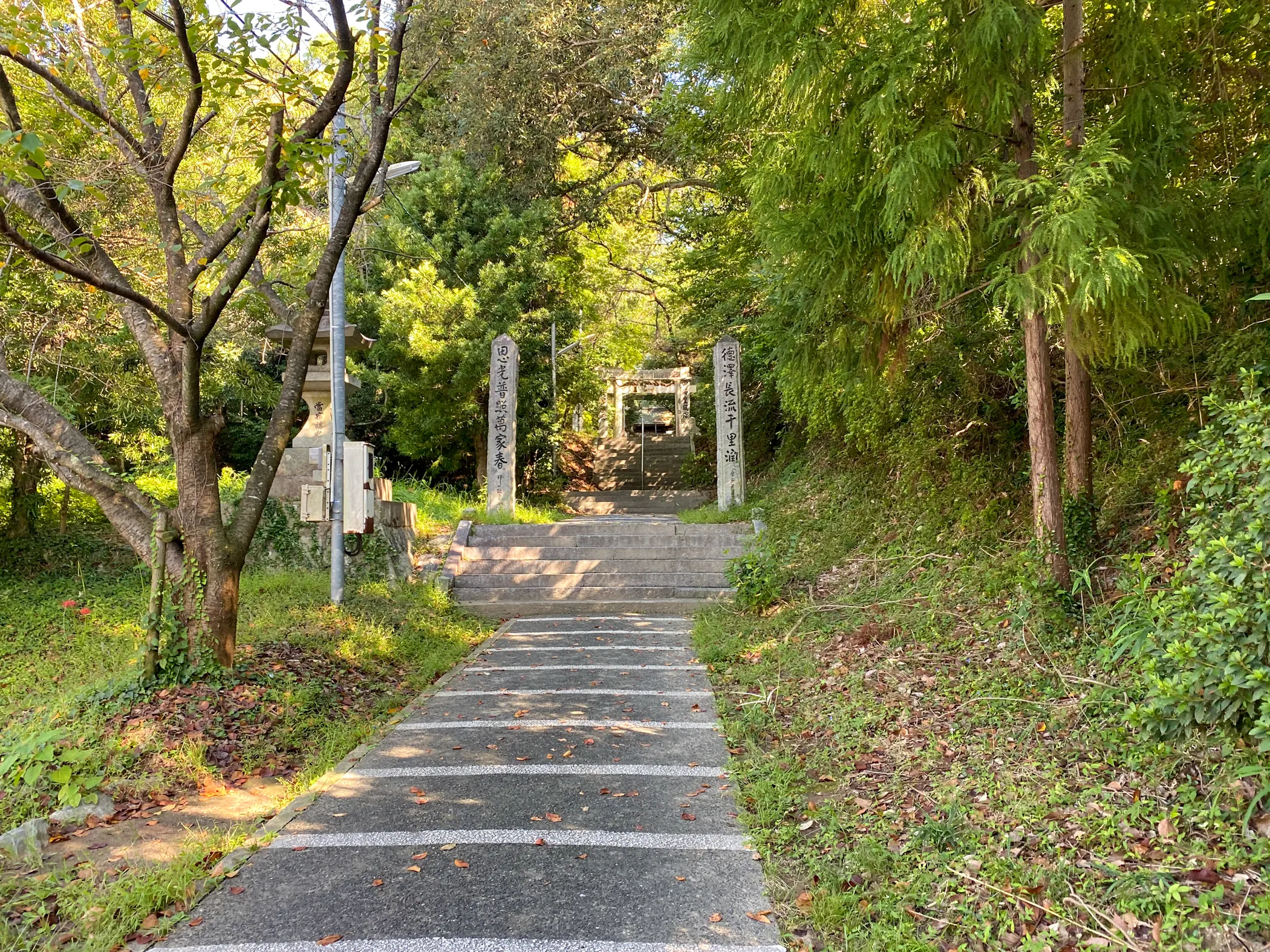 「筑紫神社」本殿へと続く道1