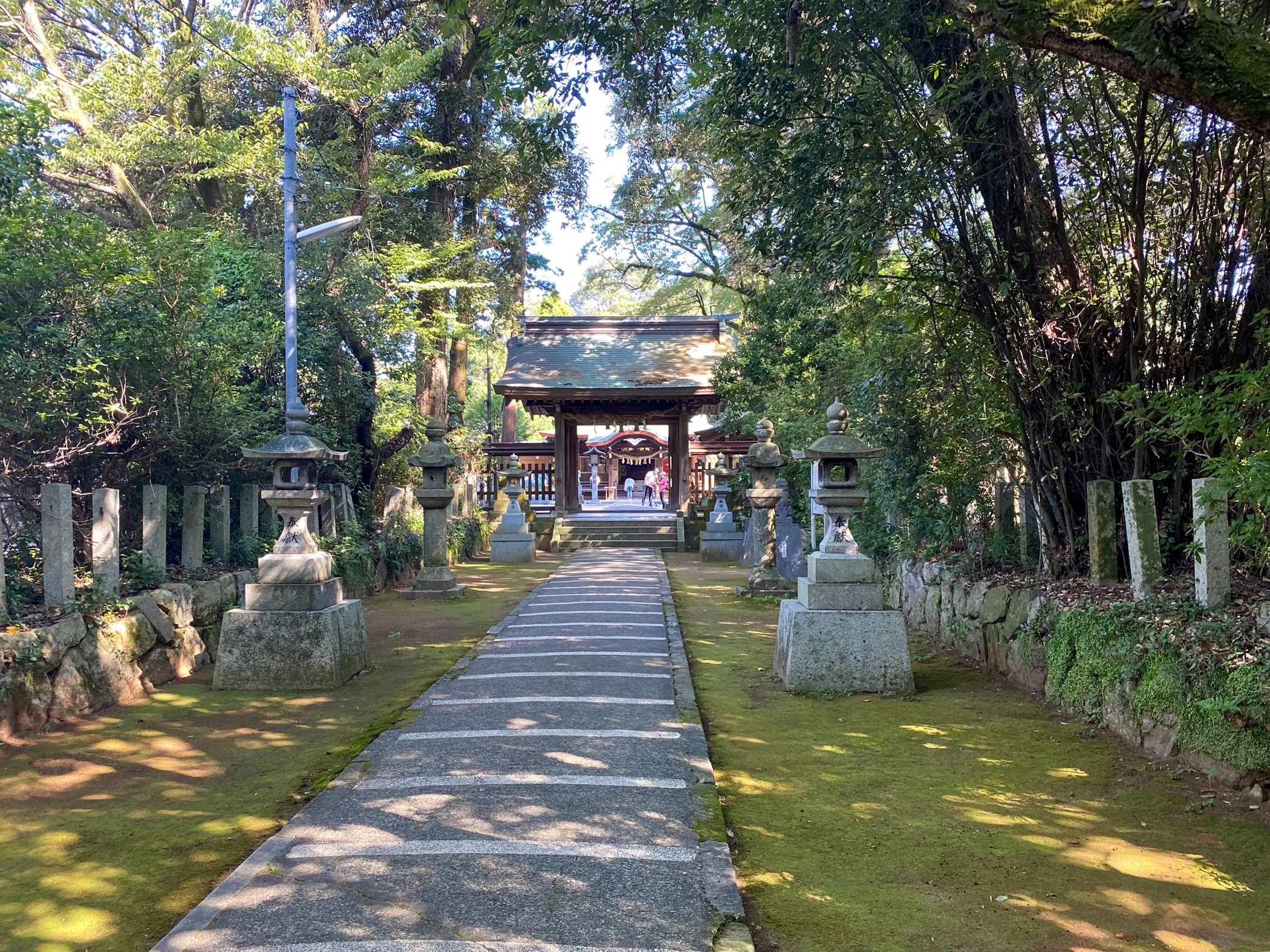 「筑紫神社」本殿へと続く道3