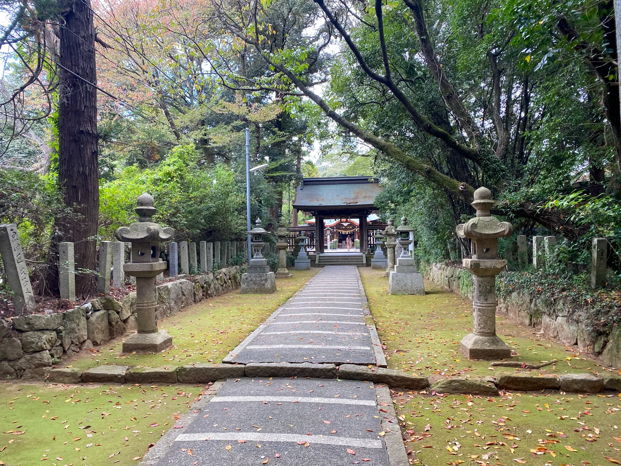 毎日の感謝を込めて「筑紫神社」