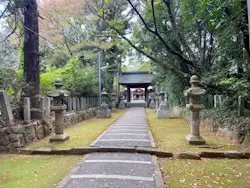 毎日の感謝を込めて「筑紫神社」