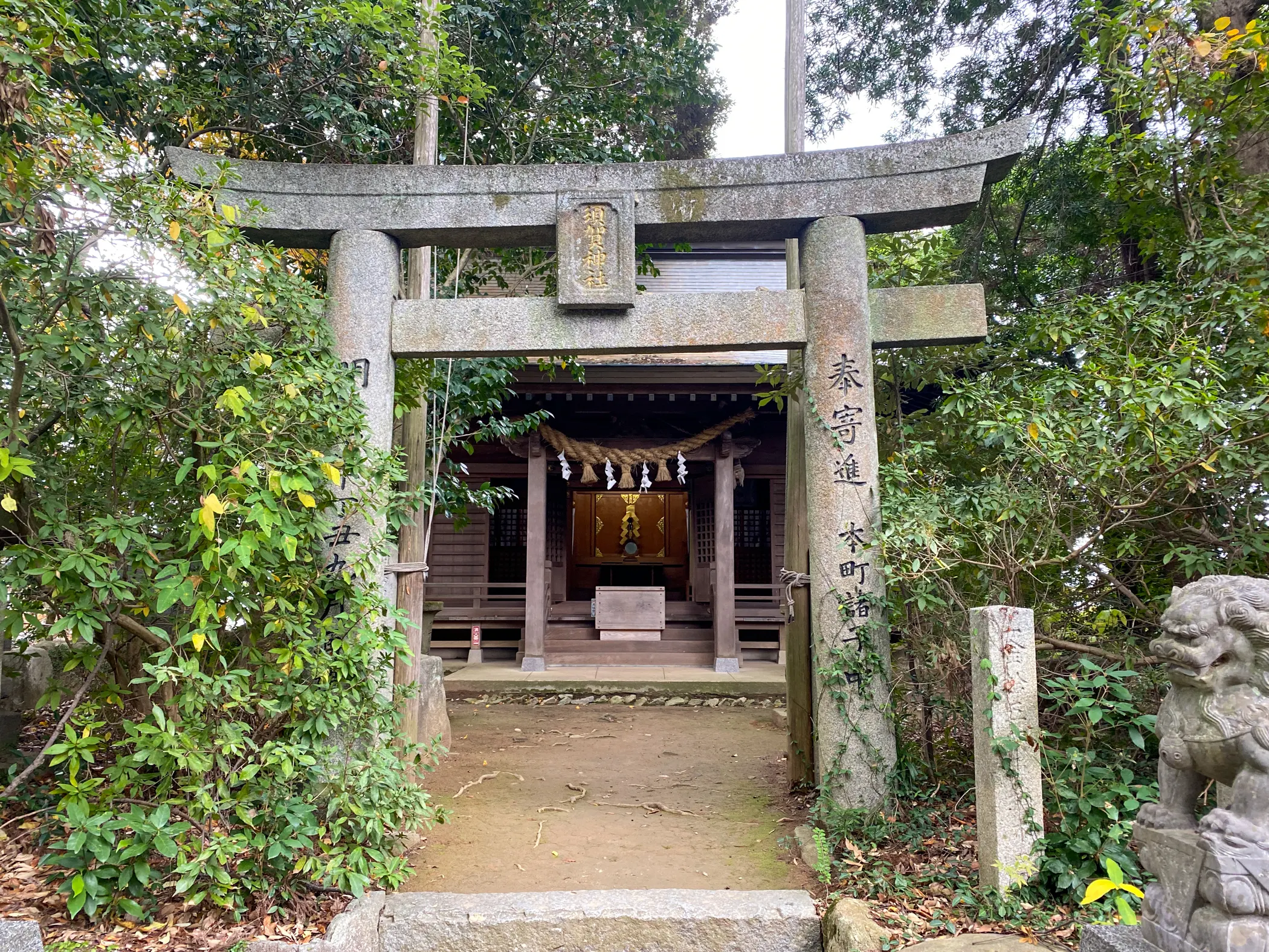 「筑紫神社」-12