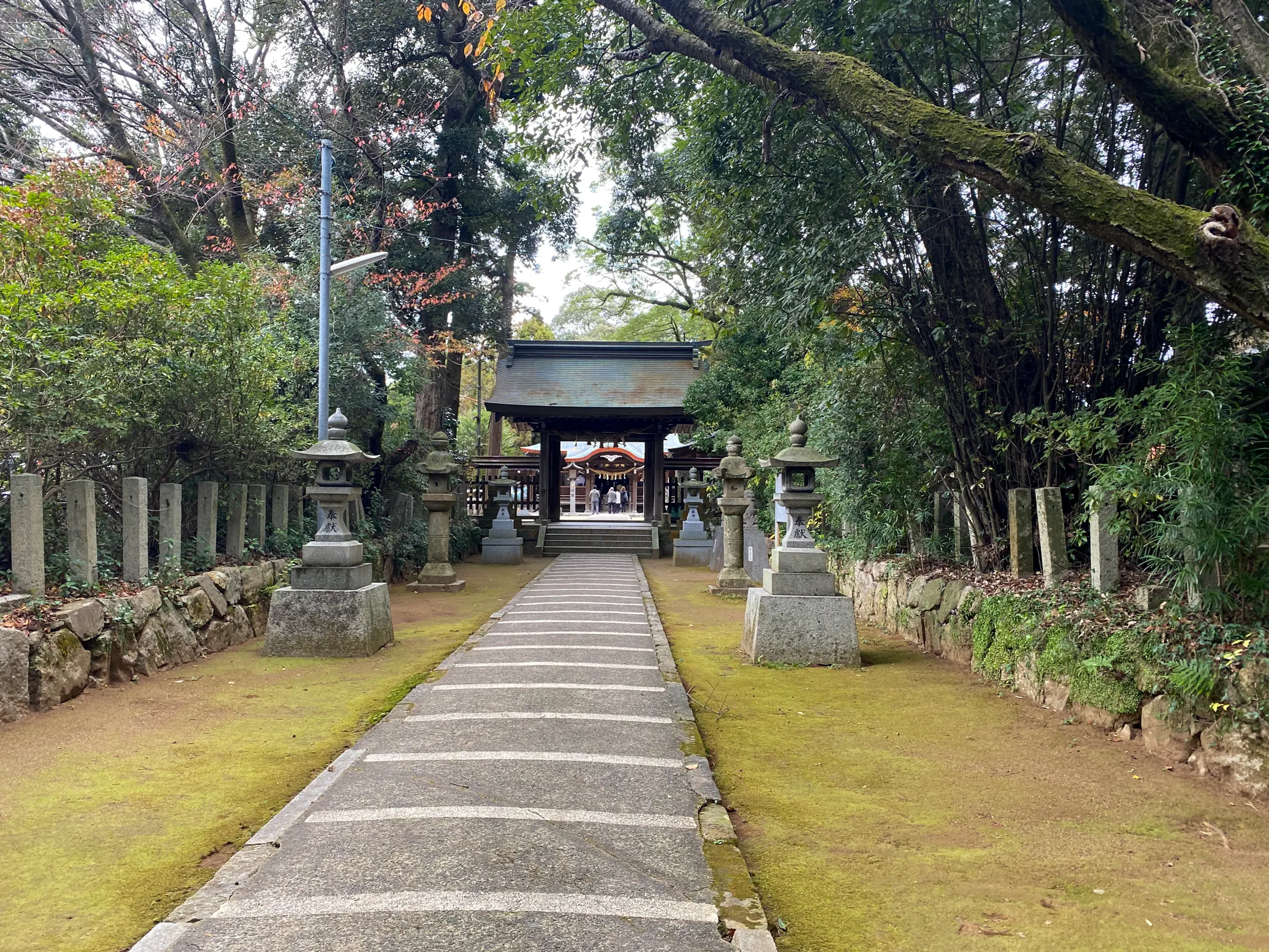 「筑紫神社」-8