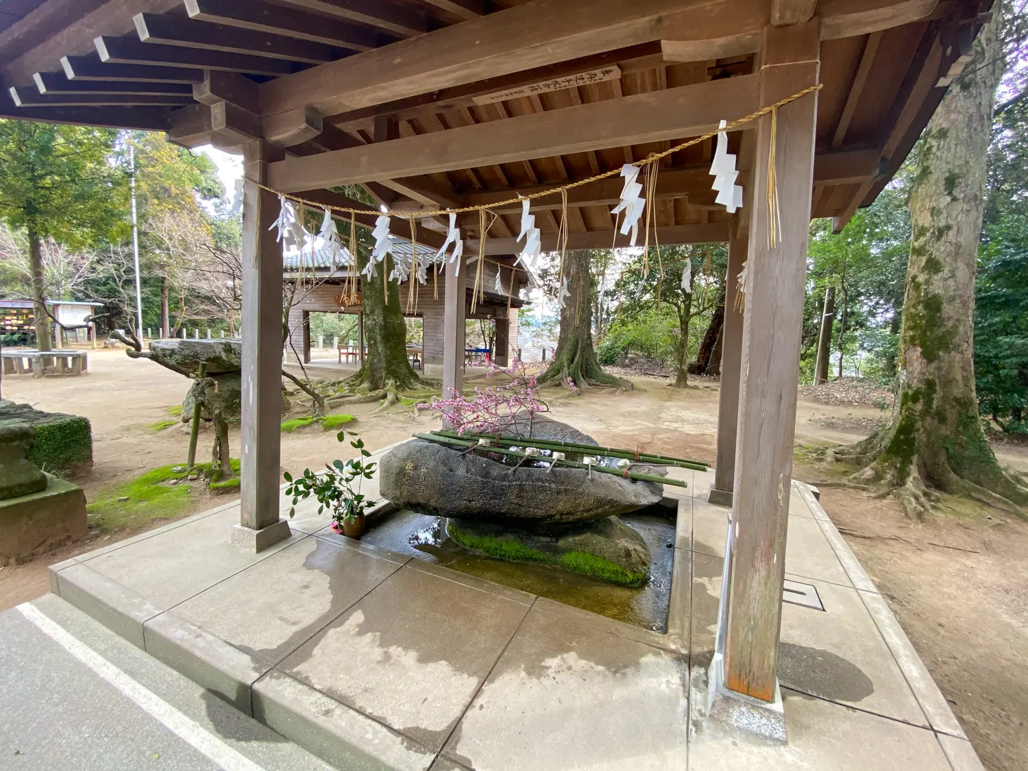 開運の祈りを「筑紫神社」4