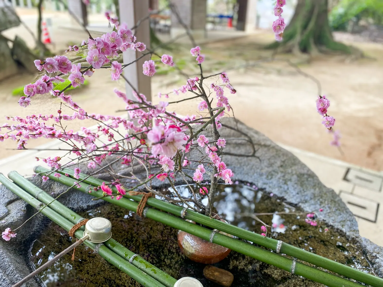 開運の祈りを「筑紫神社」6