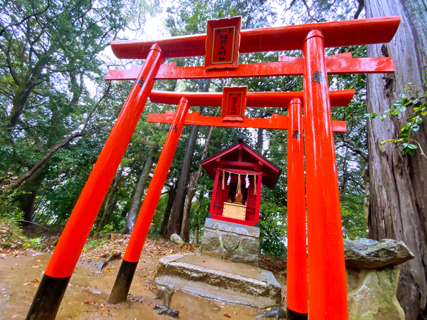 今年最高開運日に繁盛を祈願「筑紫神社」15
