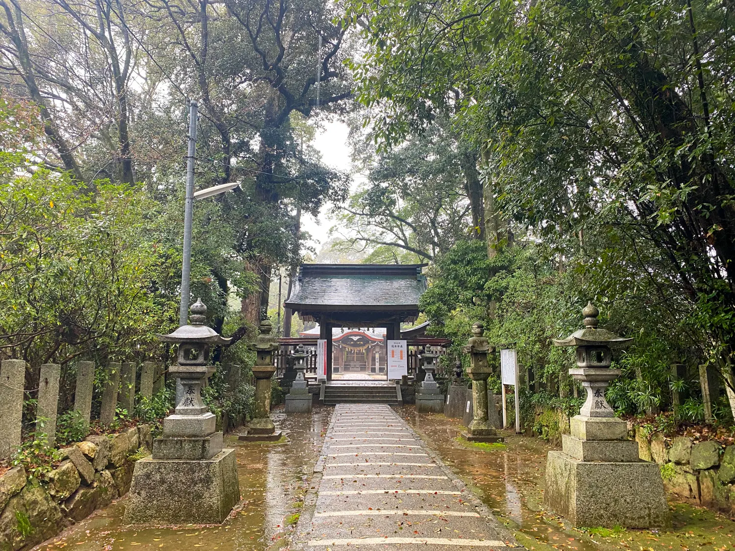 今年最高開運日に繁盛を祈願「筑紫神社」5