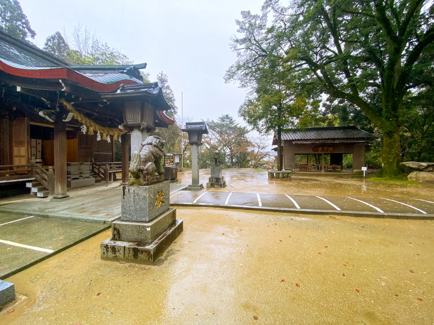 今年最高開運日に繁盛を祈願「筑紫神社」9