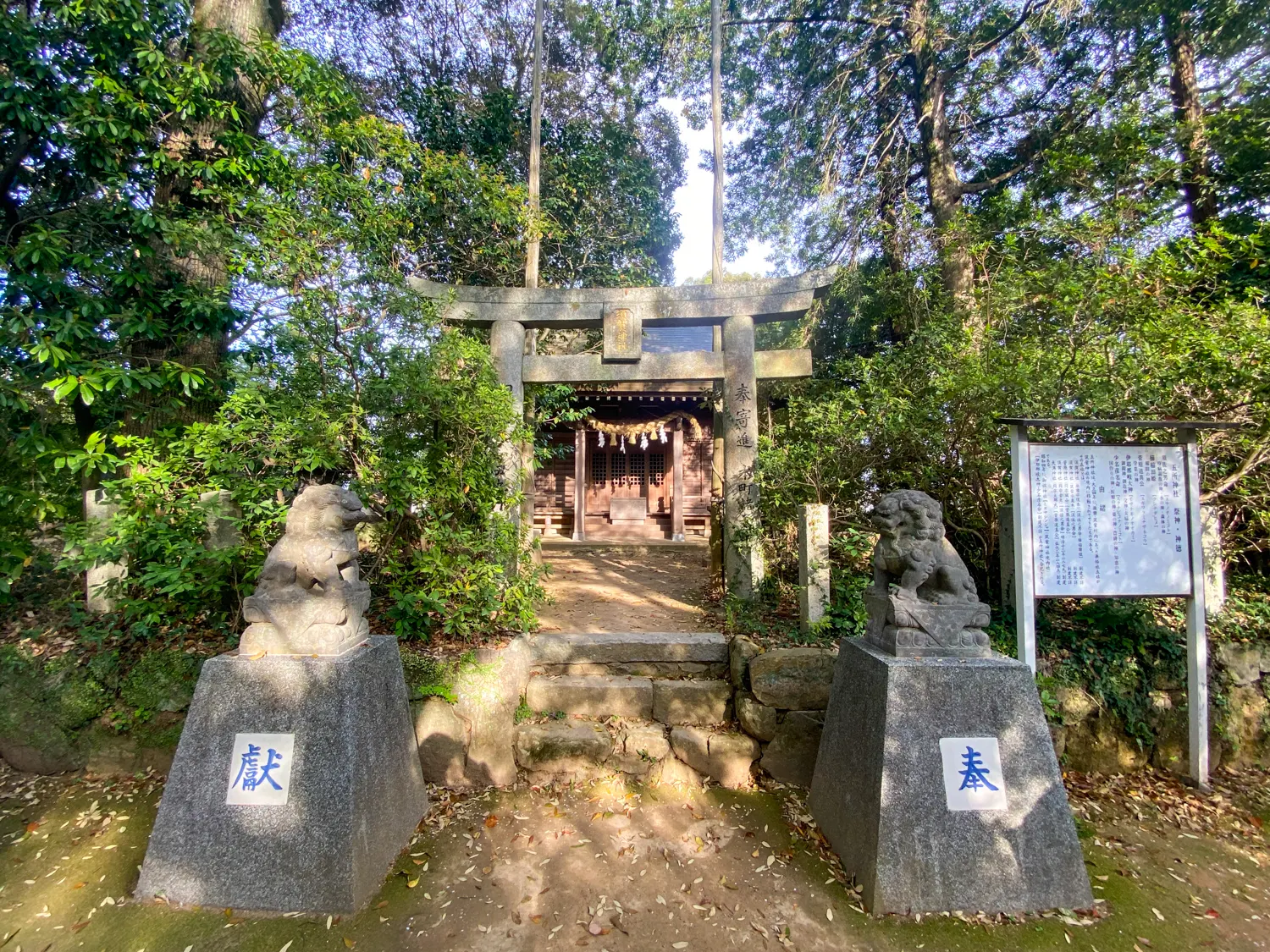 桜と神社で運気アップ 筑紫神社10