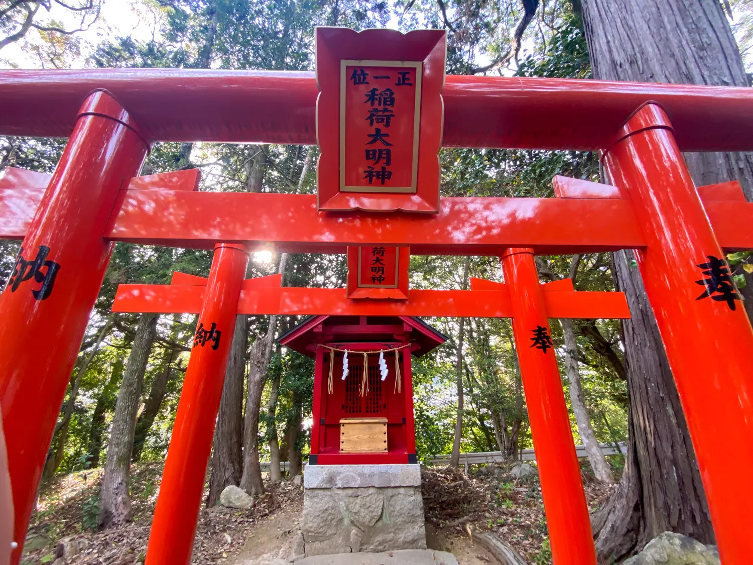 桜と神社で運気アップ 筑紫神社13