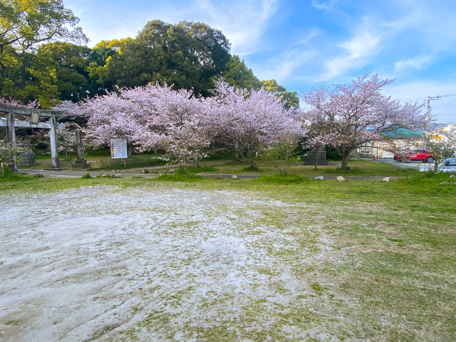 桜と神社で運気アップ 筑紫神社15