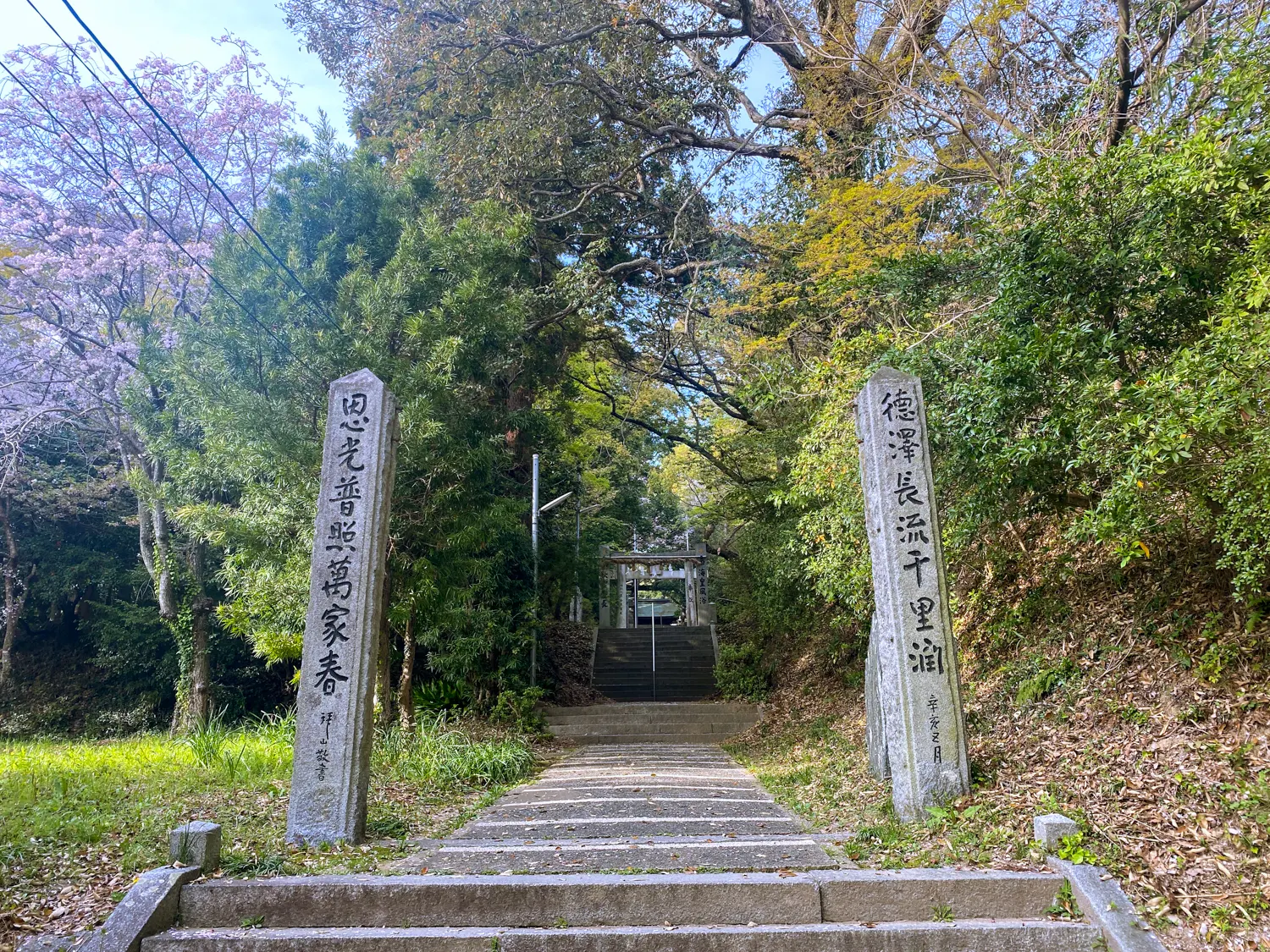 桜と神社で運気アップ 筑紫神社2