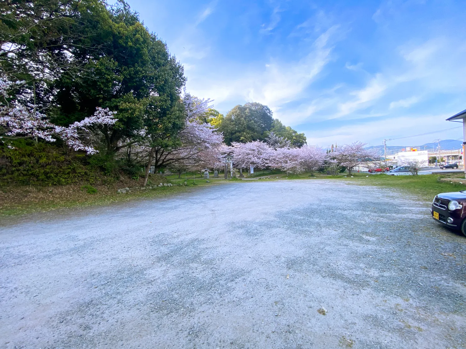 桜と神社で運気アップ 筑紫神社21