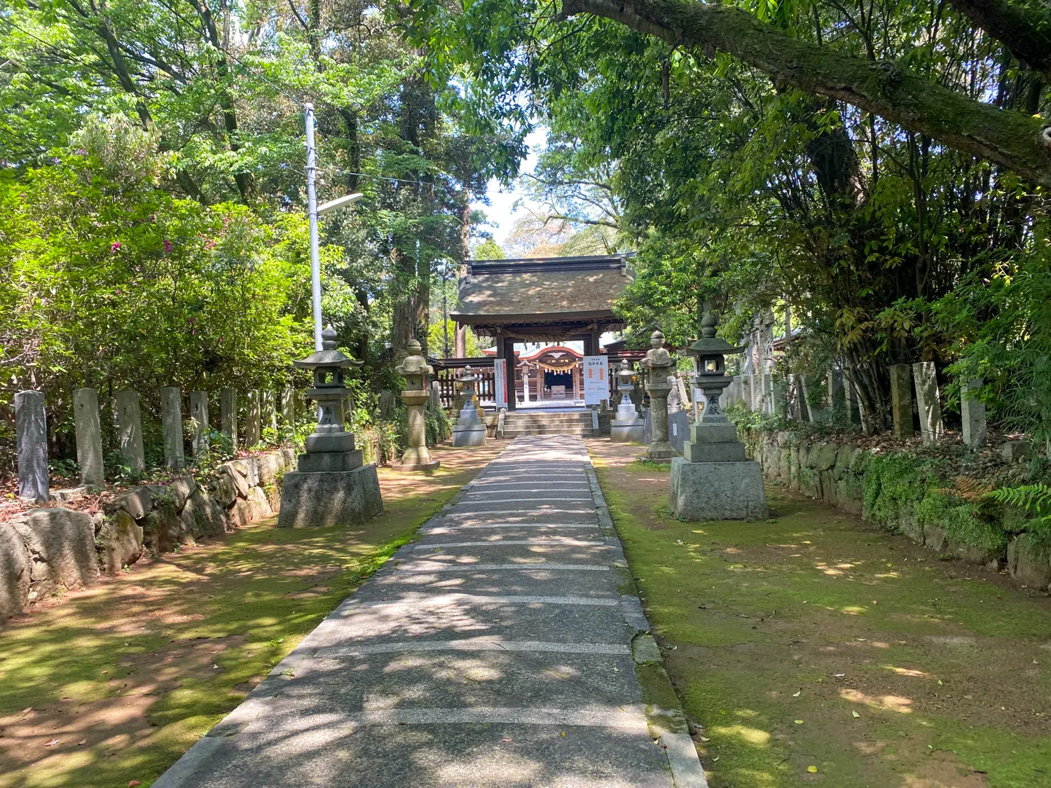 珍しい神様を祀る神社 筑紫神社7