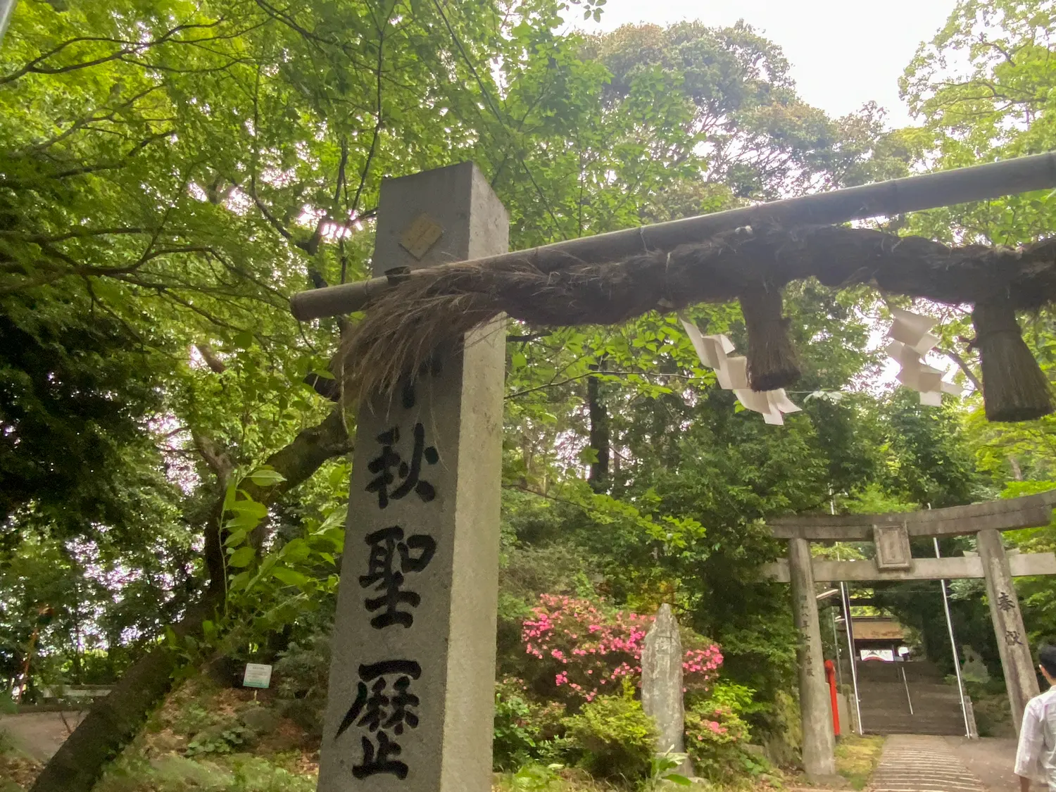 雨の日でもキレイな神社 筑紫神社2