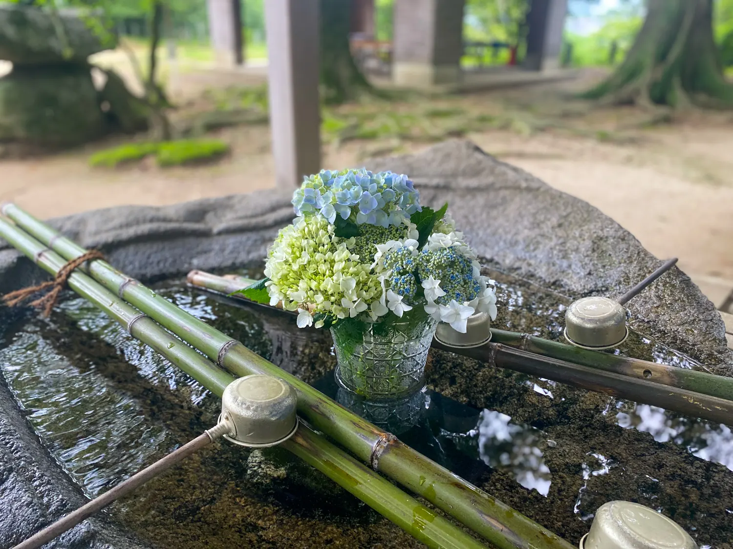 雨の日でもキレイな神社 筑紫神社7