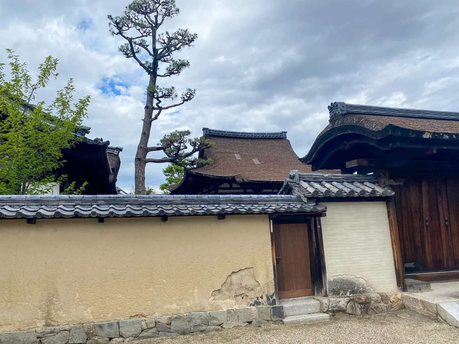 法隆寺でも特別な空間「中宮寺」83