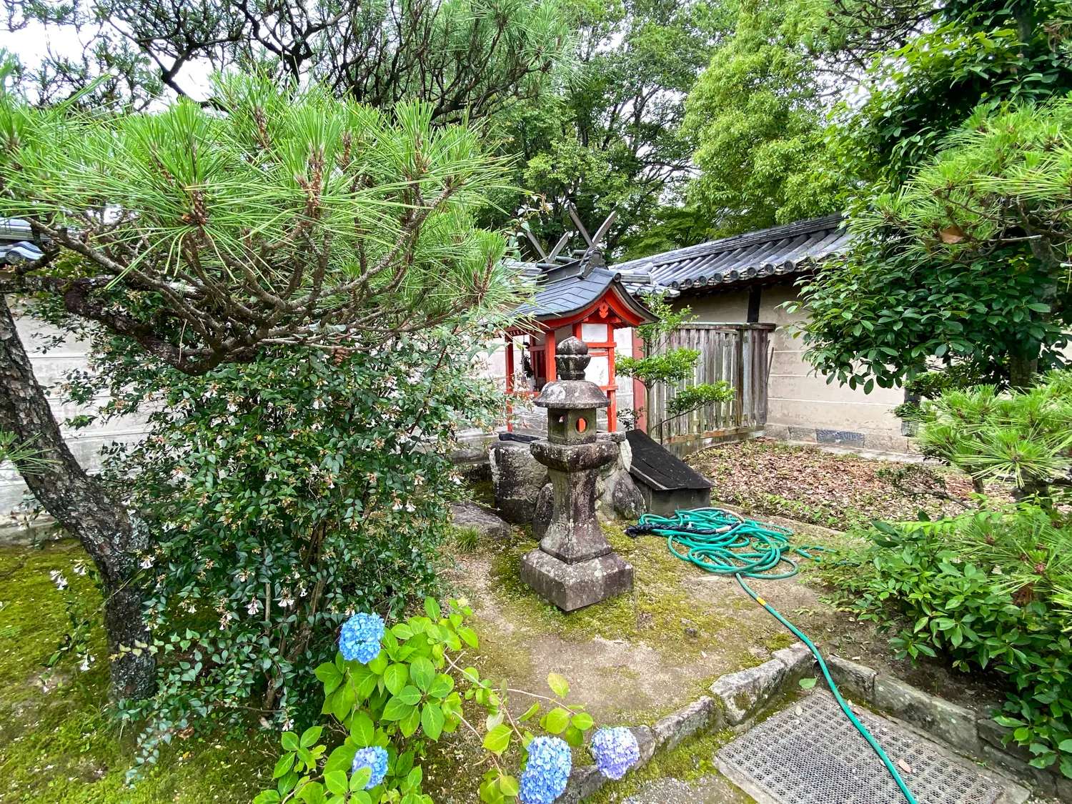 法隆寺でも特別な空間「中宮寺」89