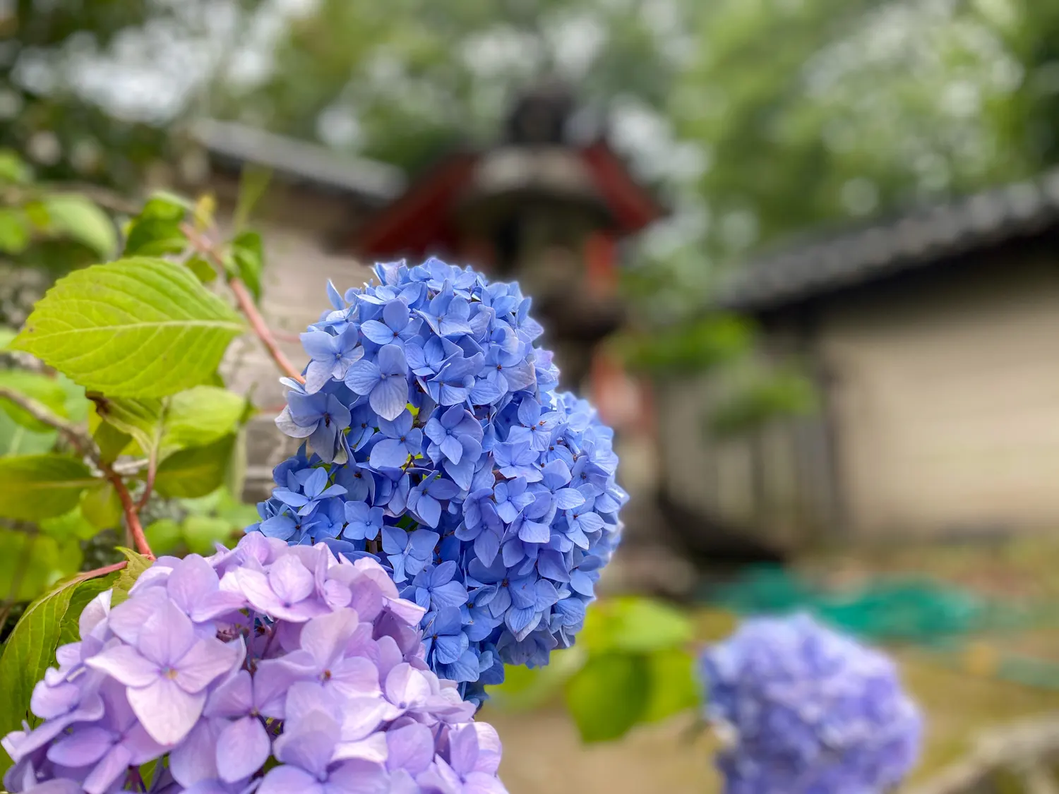 法隆寺は帰りもしっかり楽しむことができる94