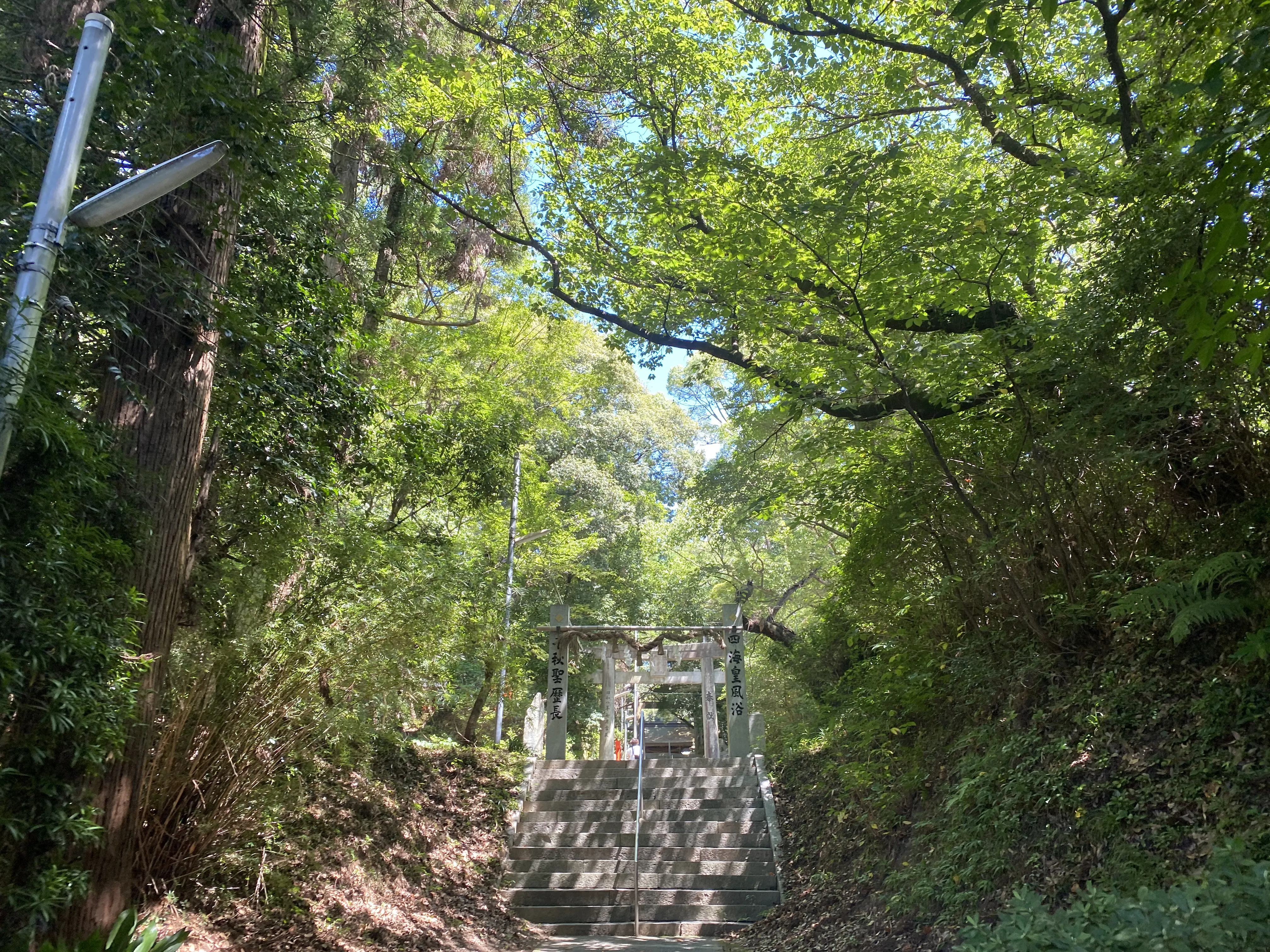 夏の暑さでも参るのにちょうどいい「筑紫神社」2