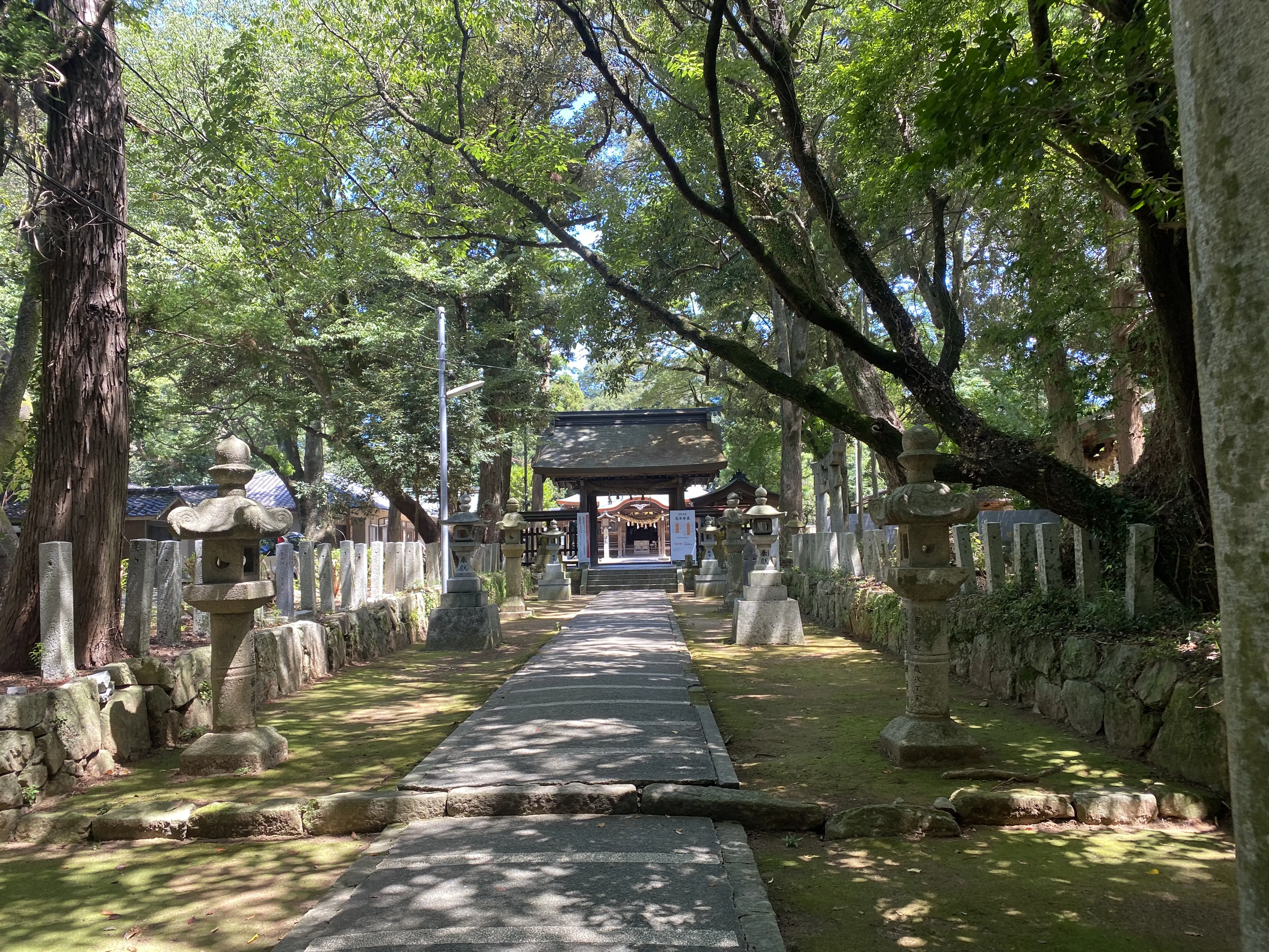 夏の暑さでも参るのにちょうどいい「筑紫神社」4