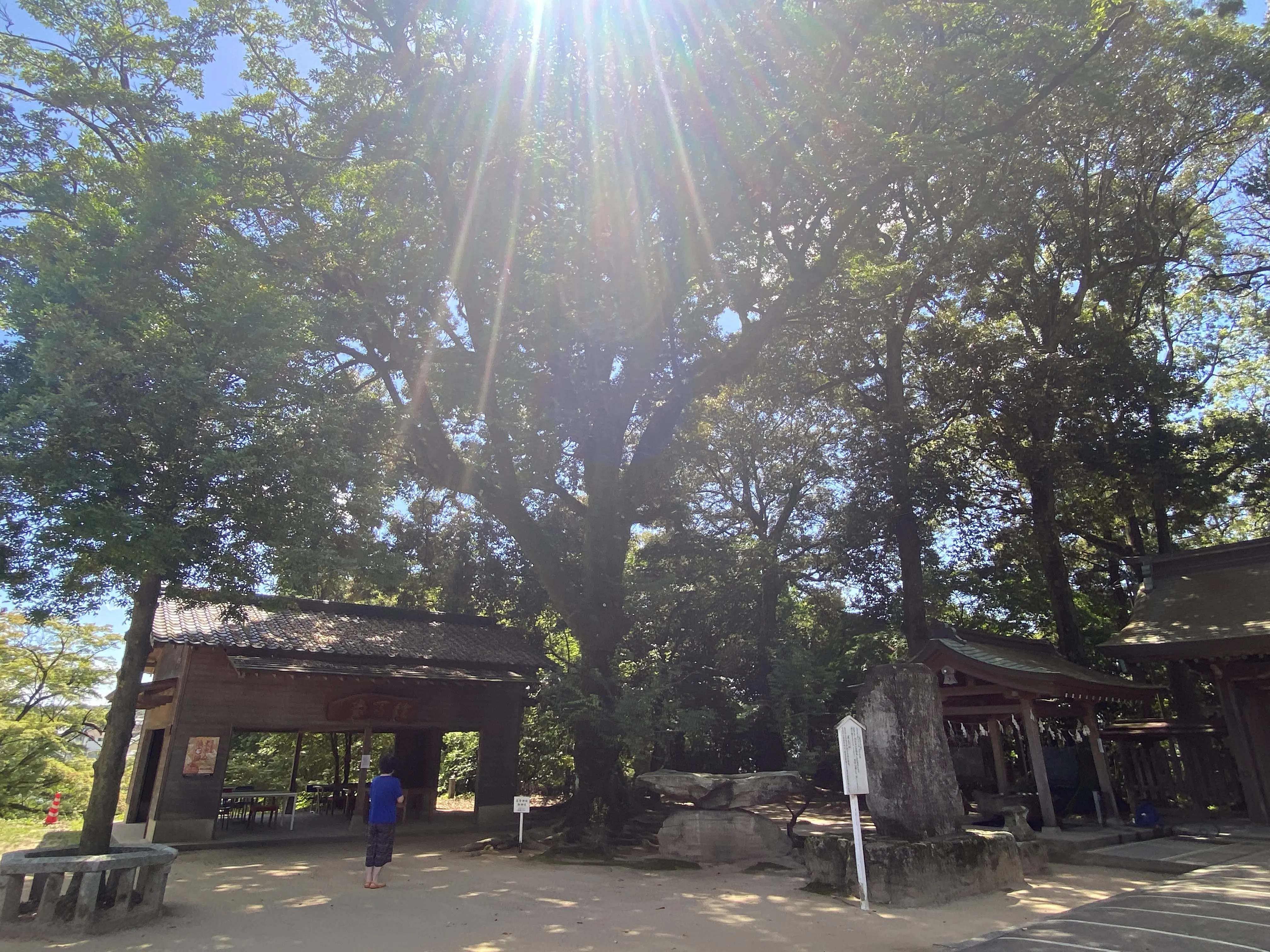 夏の暑さでも参るのにちょうどいい「筑紫神社」8