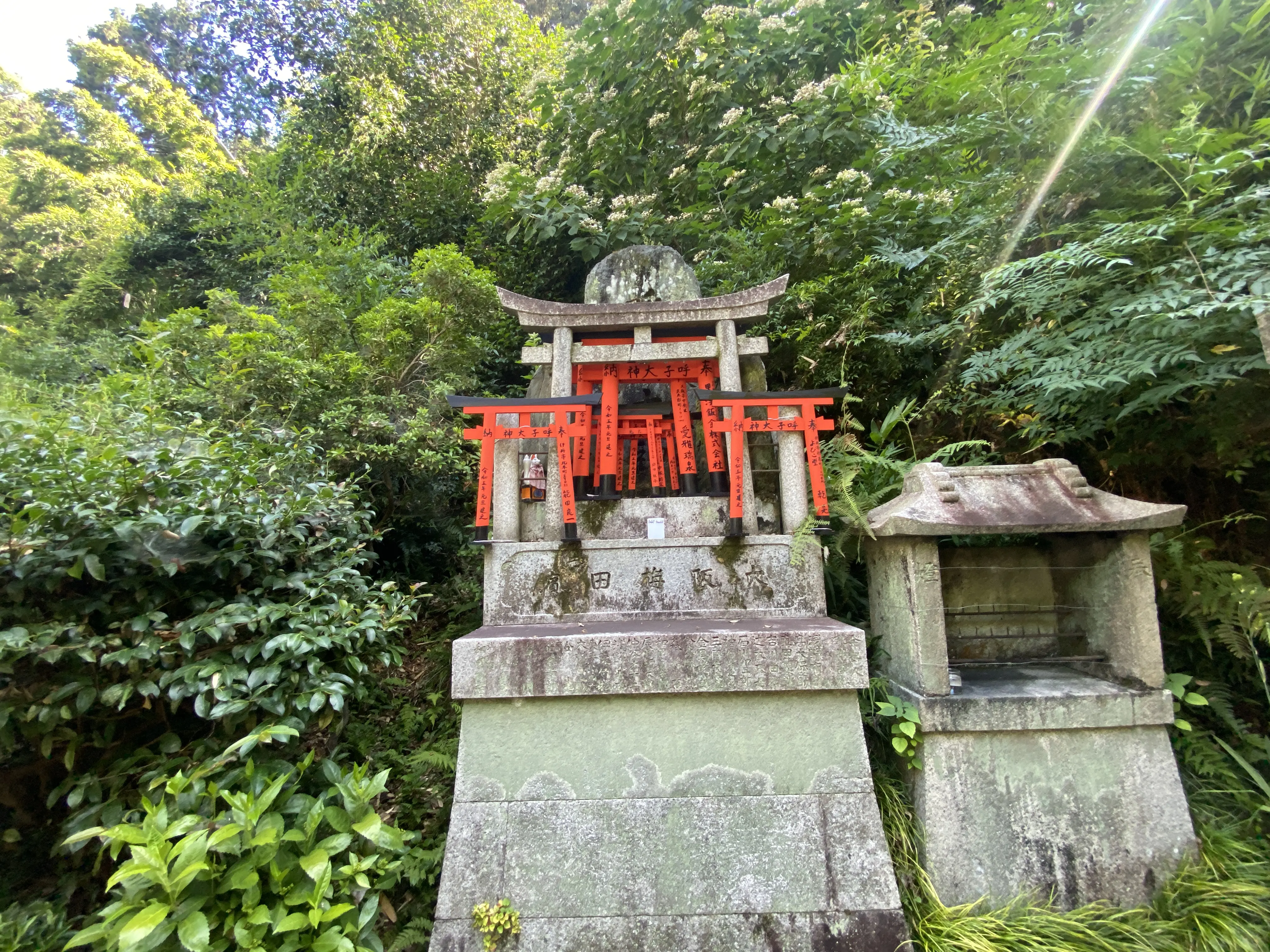 伏見稲荷大社の千本鳥居を制覇したいなら登山並みの準備を！16