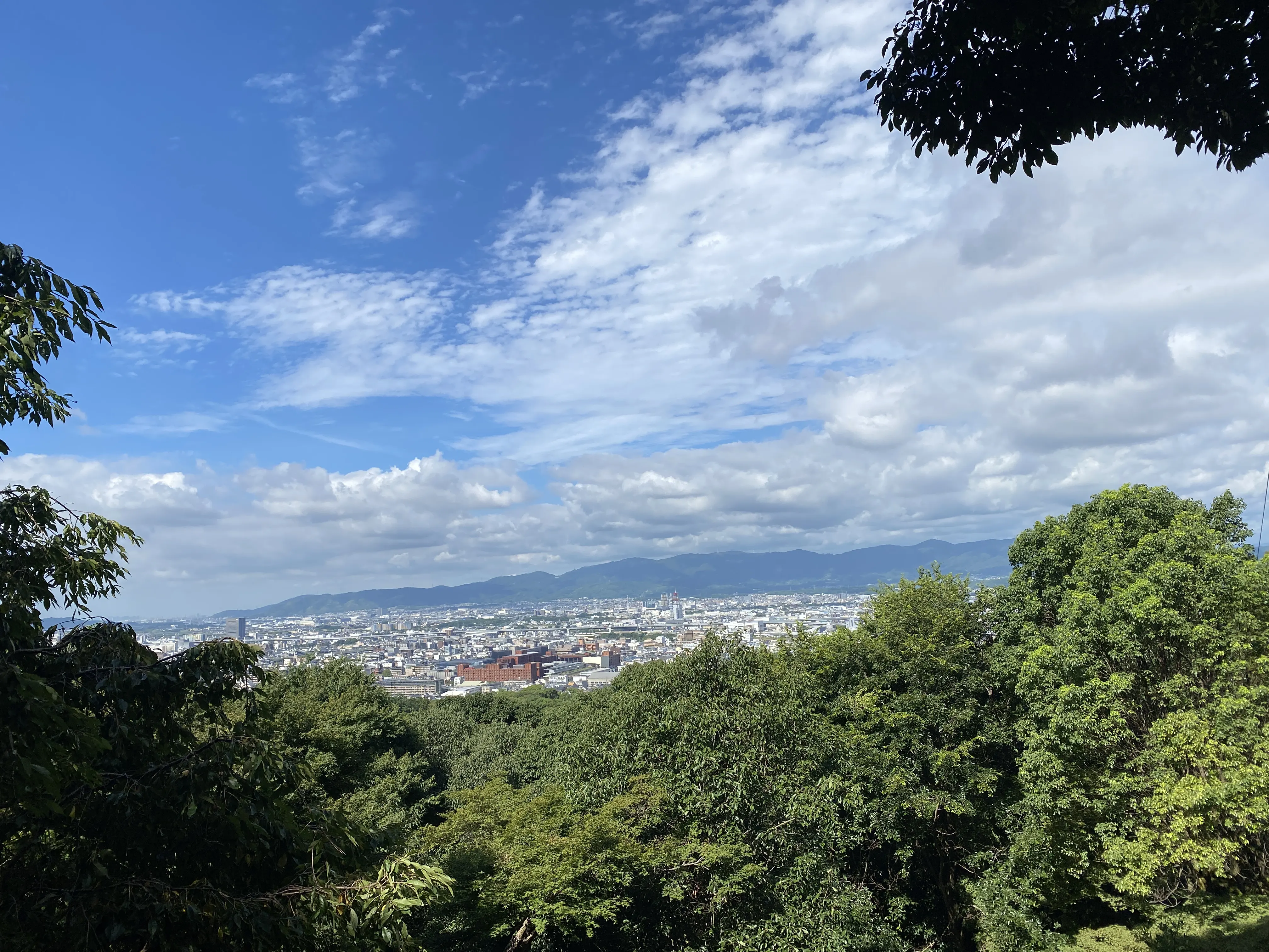 伏見稲荷大社の千本鳥居を制覇したいなら登山並みの準備を！19