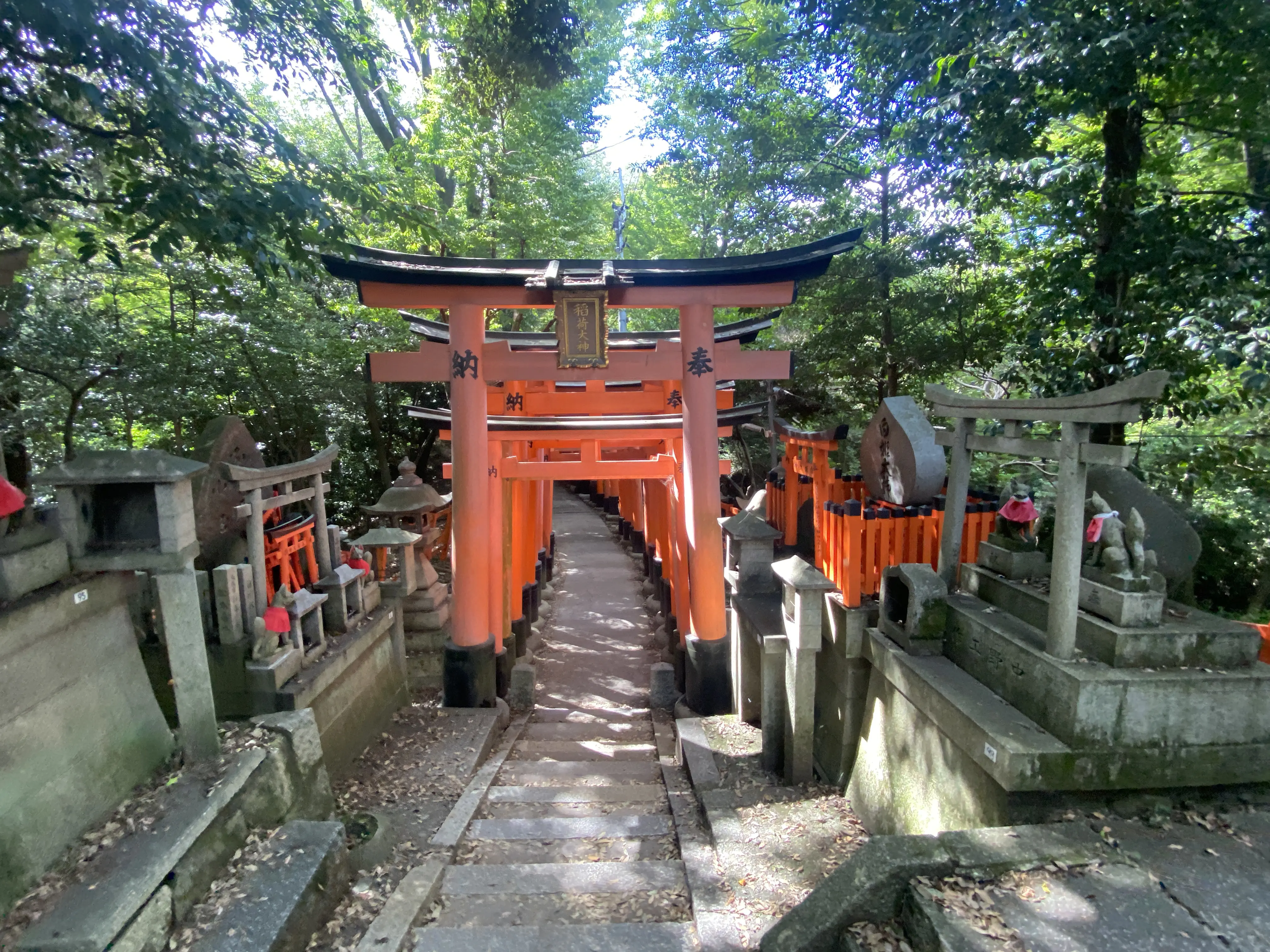 伏見稲荷大社の千本鳥居を制覇したいなら登山並みの準備を！23