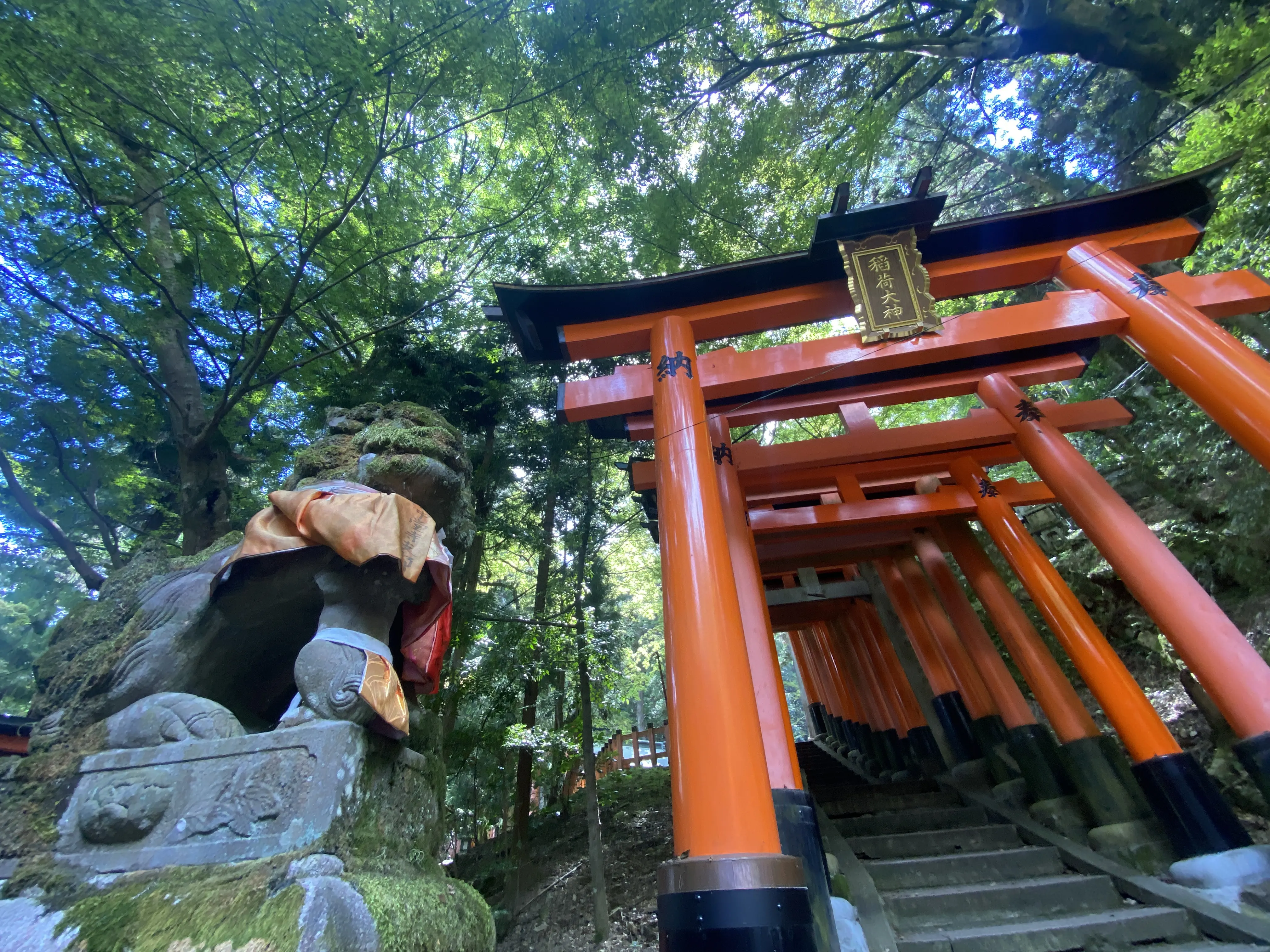 伏見稲荷大社の千本鳥居を制覇したいなら登山並みの準備を！27