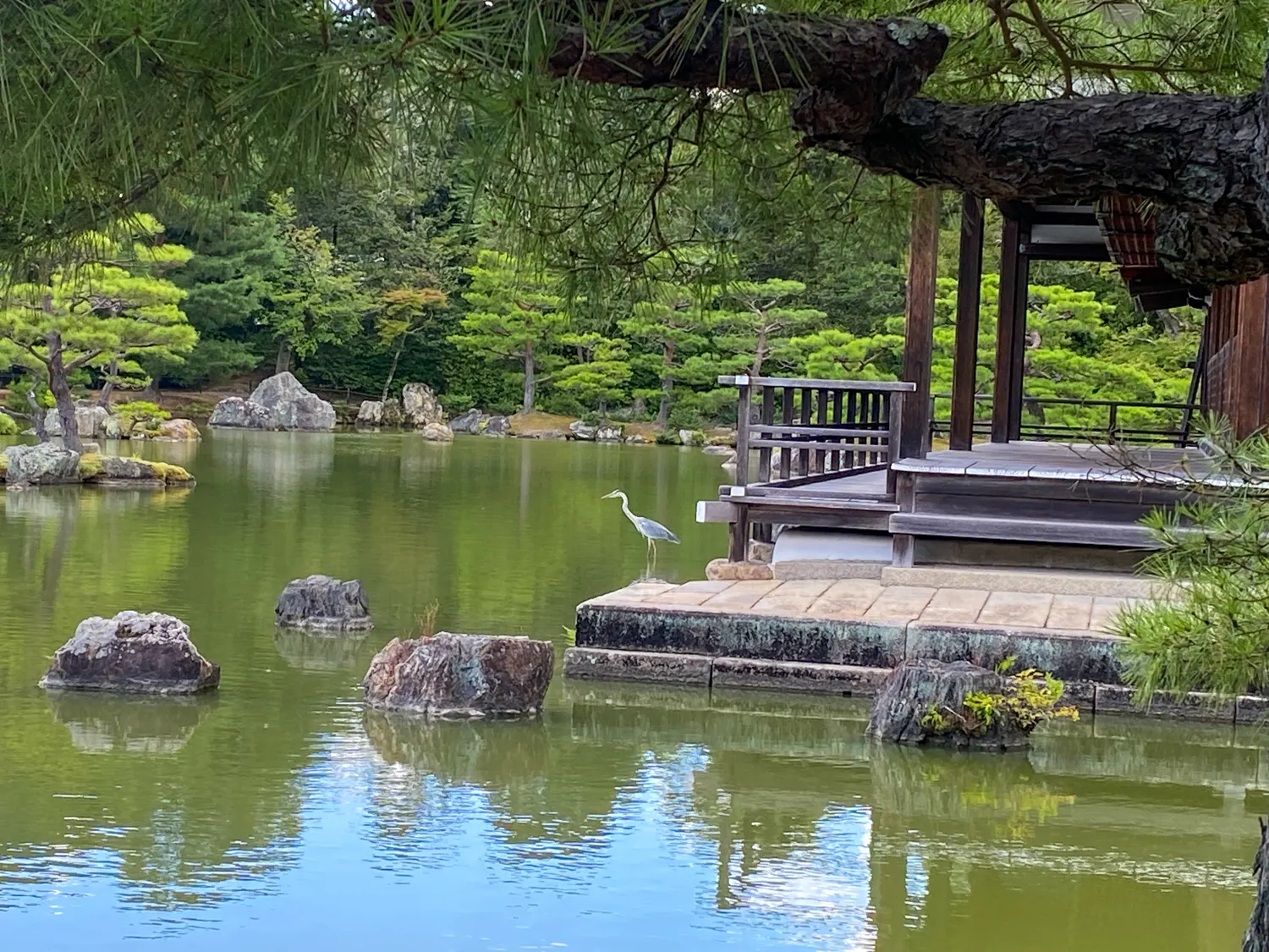 金運の最高峰？！金閣寺4