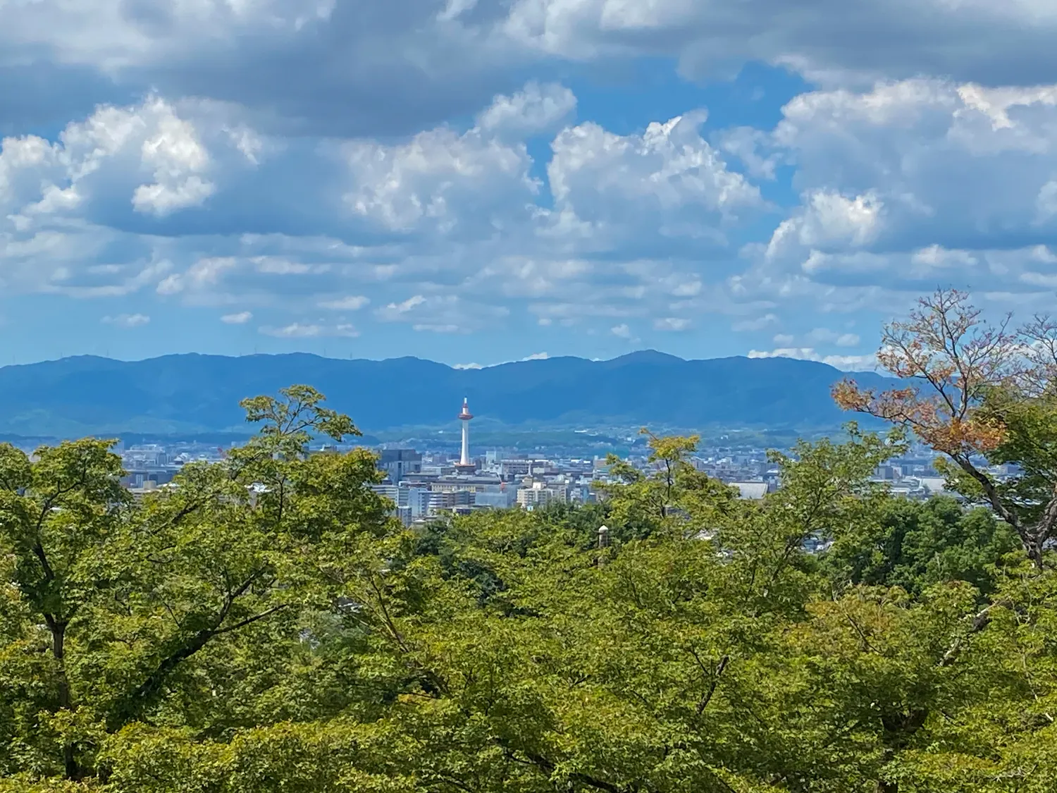 清水寺は入口から魅了される6