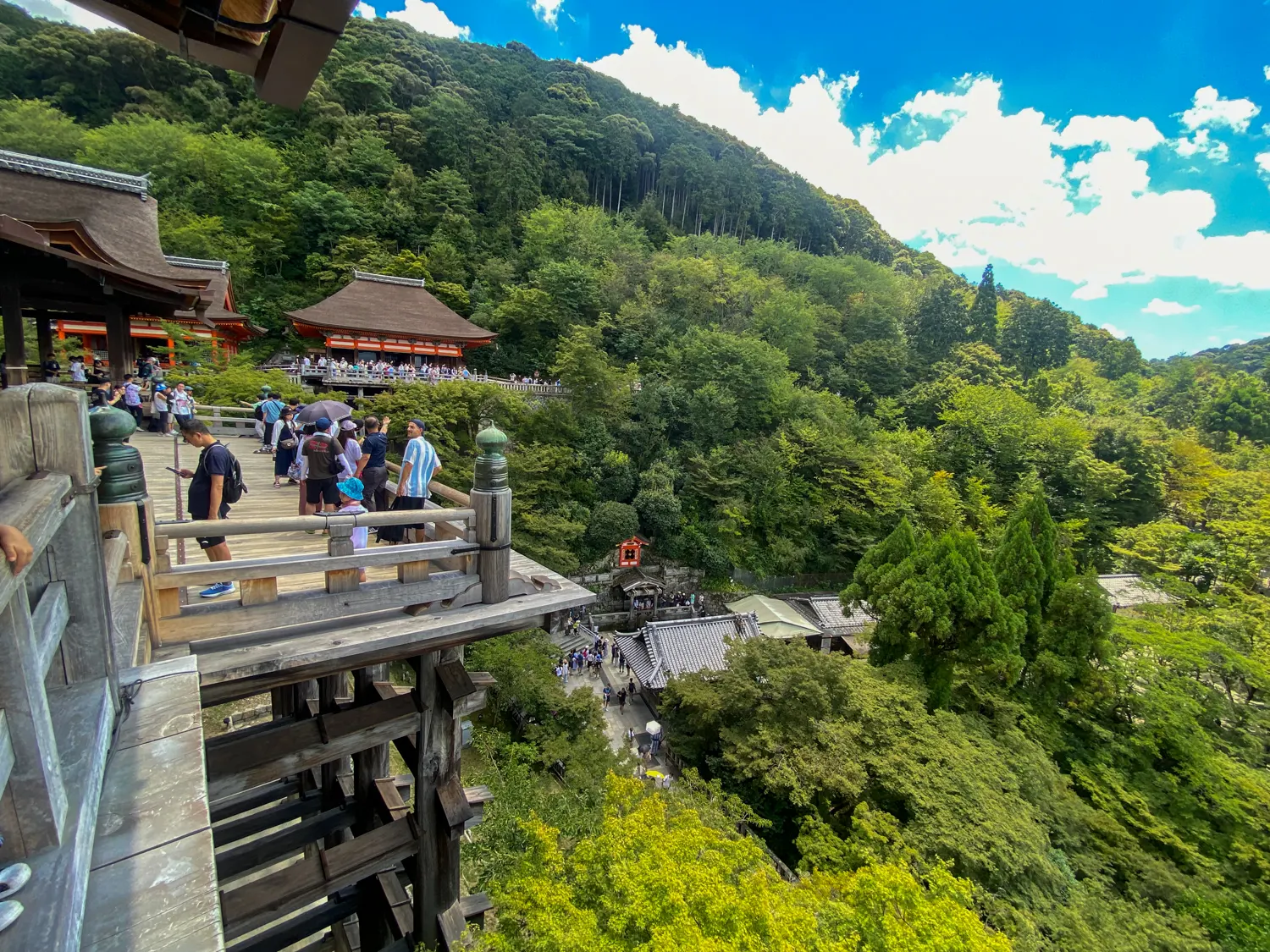 ぜったい外れない京都の観光名所！清水寺の本堂