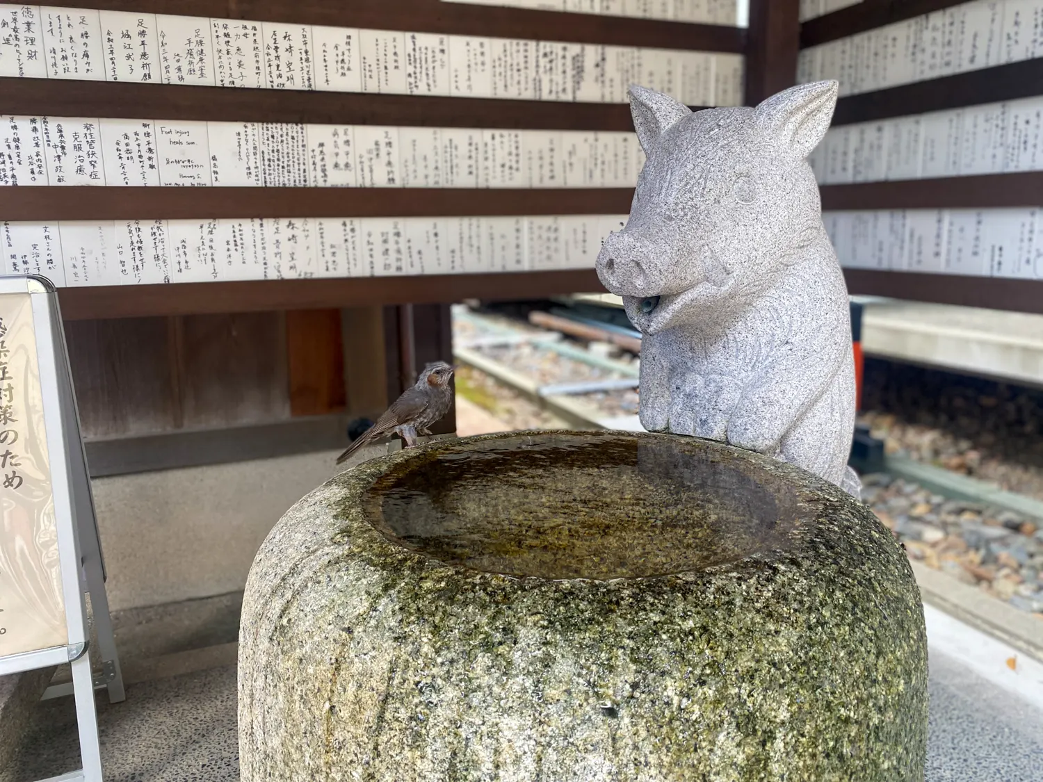 足腰に効くパワースポット「護王神社」