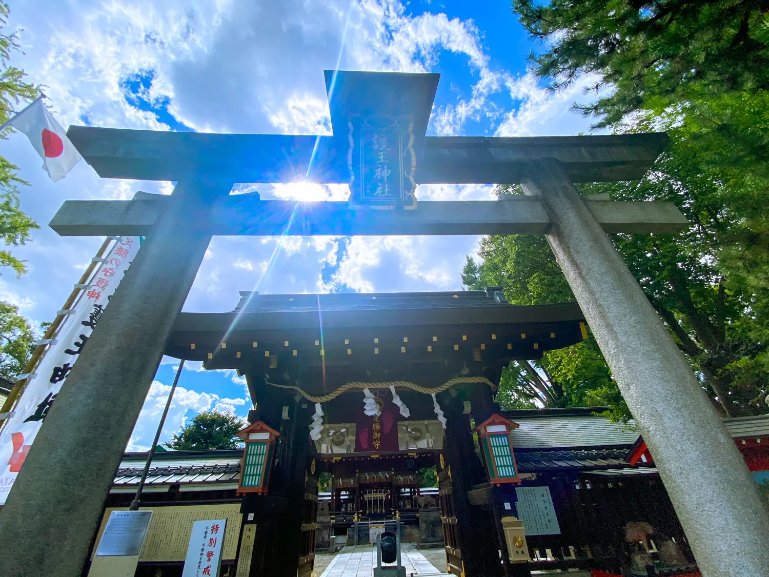 足腰のご利益？！狛いのししに出会える珍しい神社「護王神社」