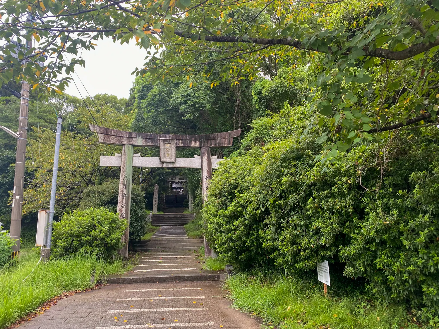 幸運の赤とんぼに出会えた筑紫神社1