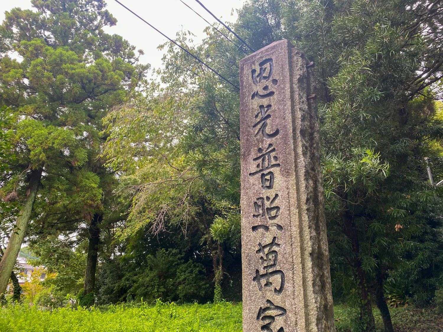 幸運の赤とんぼに出会えた筑紫神社2