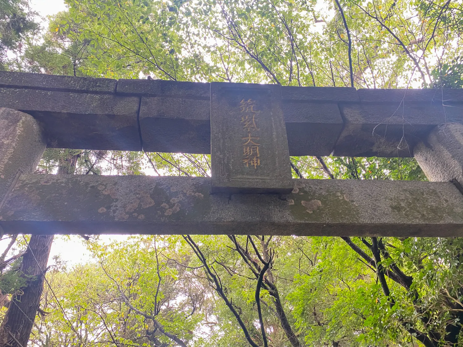 幸運の赤とんぼに出会えた筑紫神社3