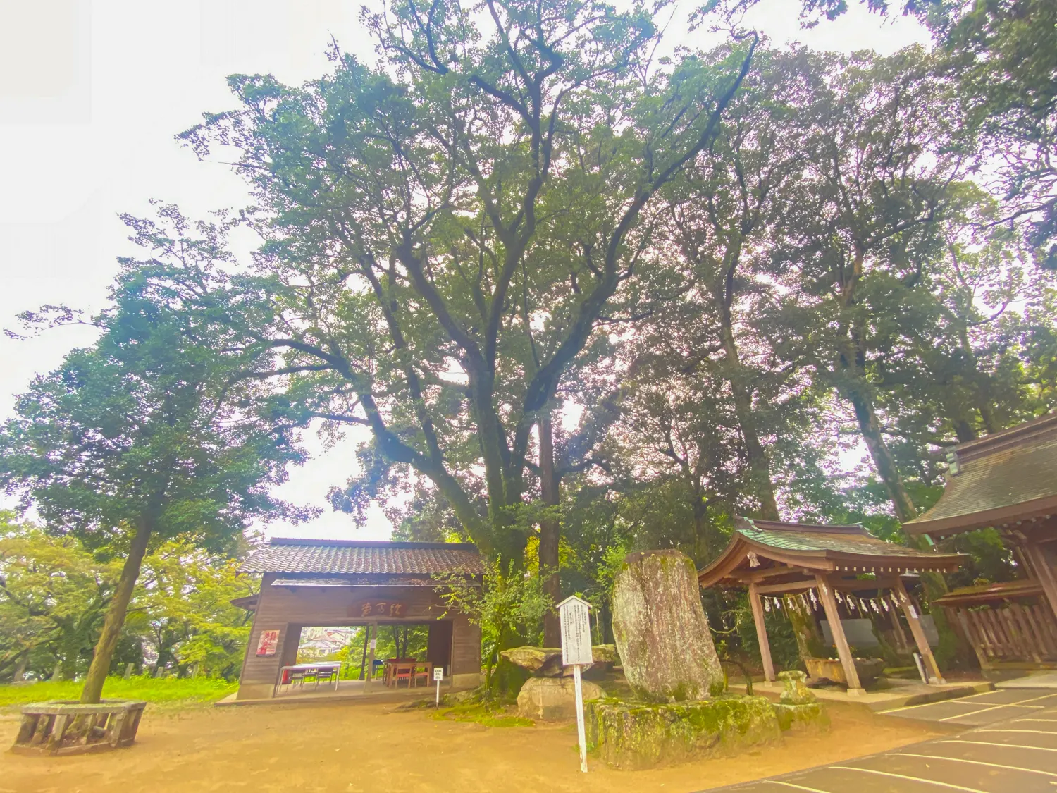 幸運の赤とんぼに出会えた筑紫神社5