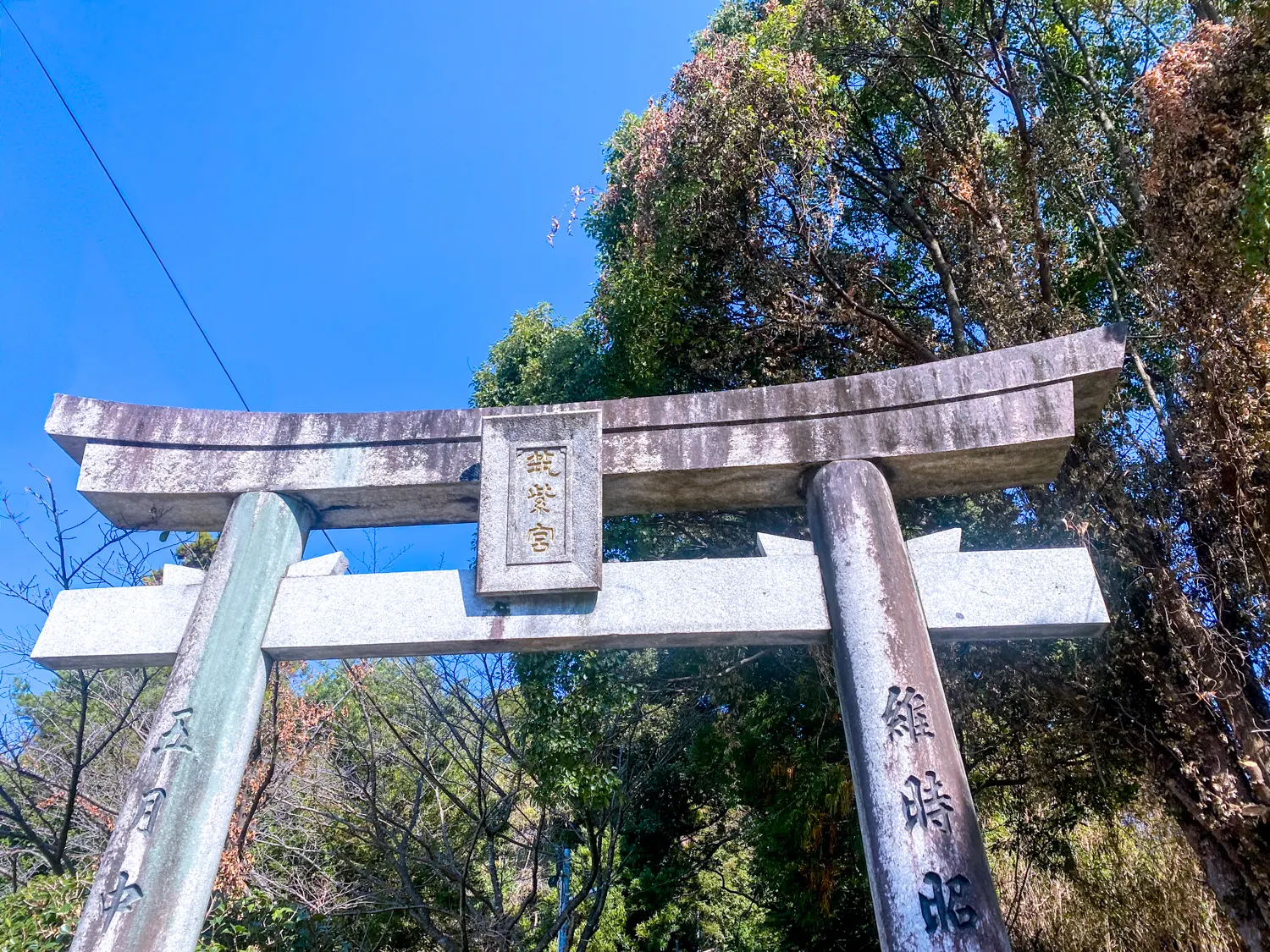 筑紫神社と花と酒と1