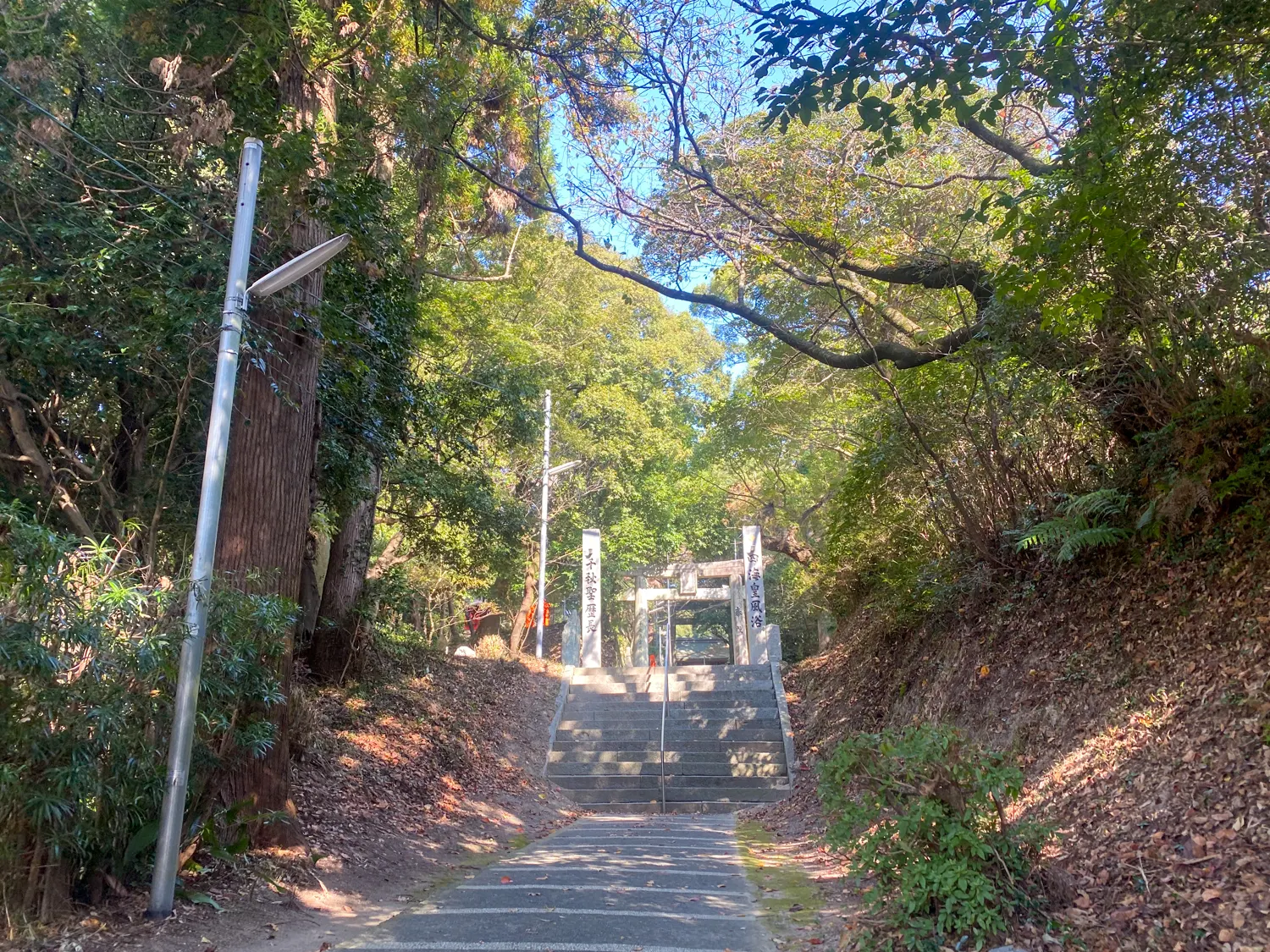 筑紫神社と花と酒と2