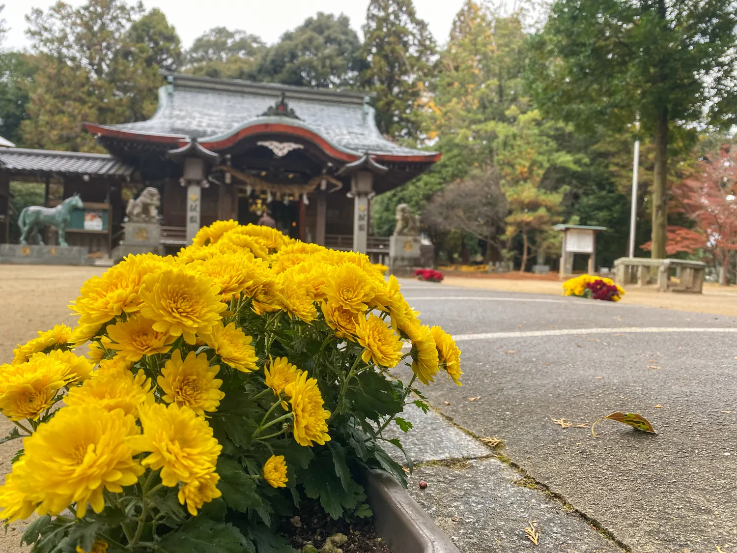 筑紫野市の最古の神社「筑紫神社」