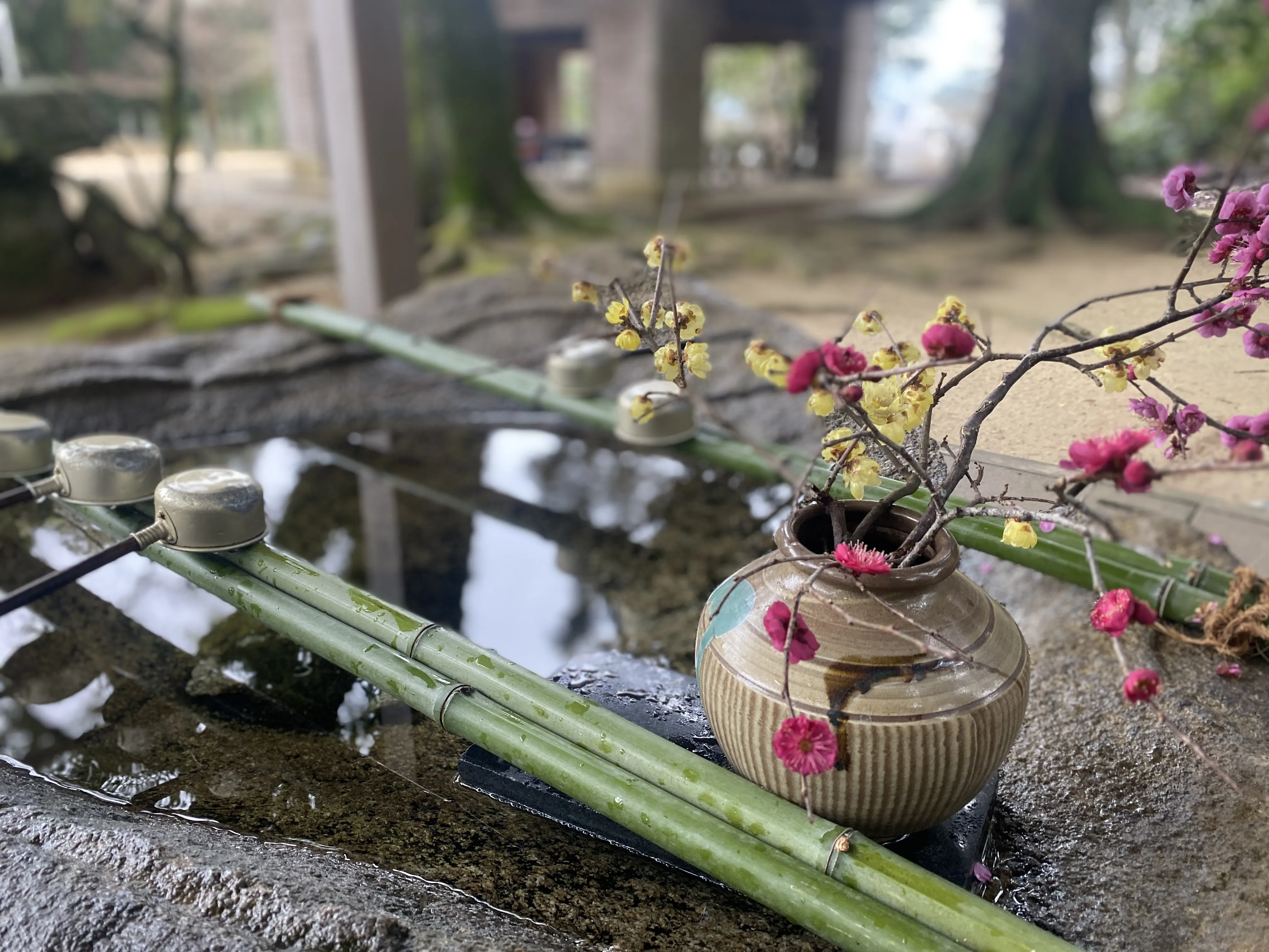 寒さが残る筑紫神社への参拝4