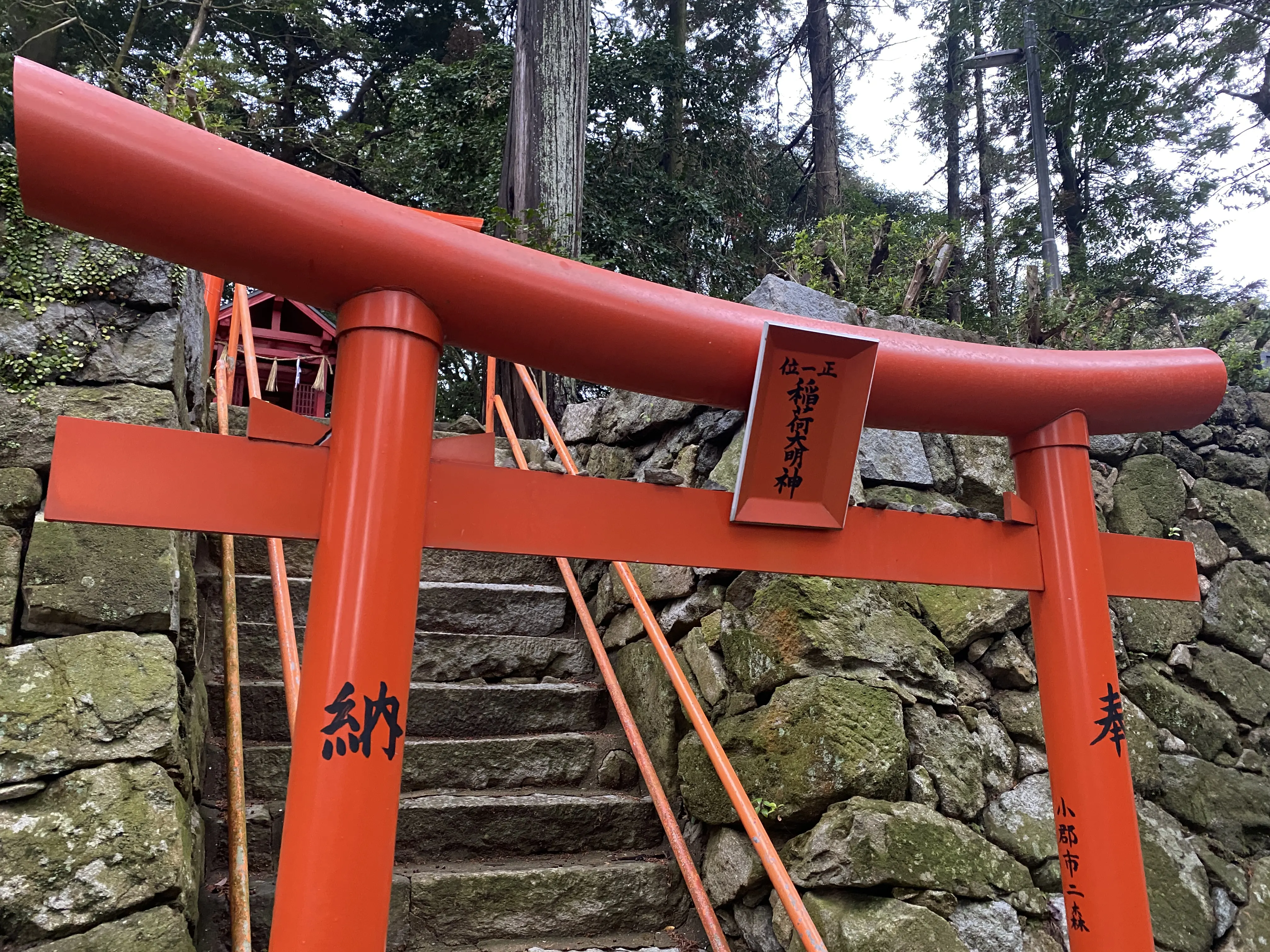 豪華なひな飾りをする筑紫神社11