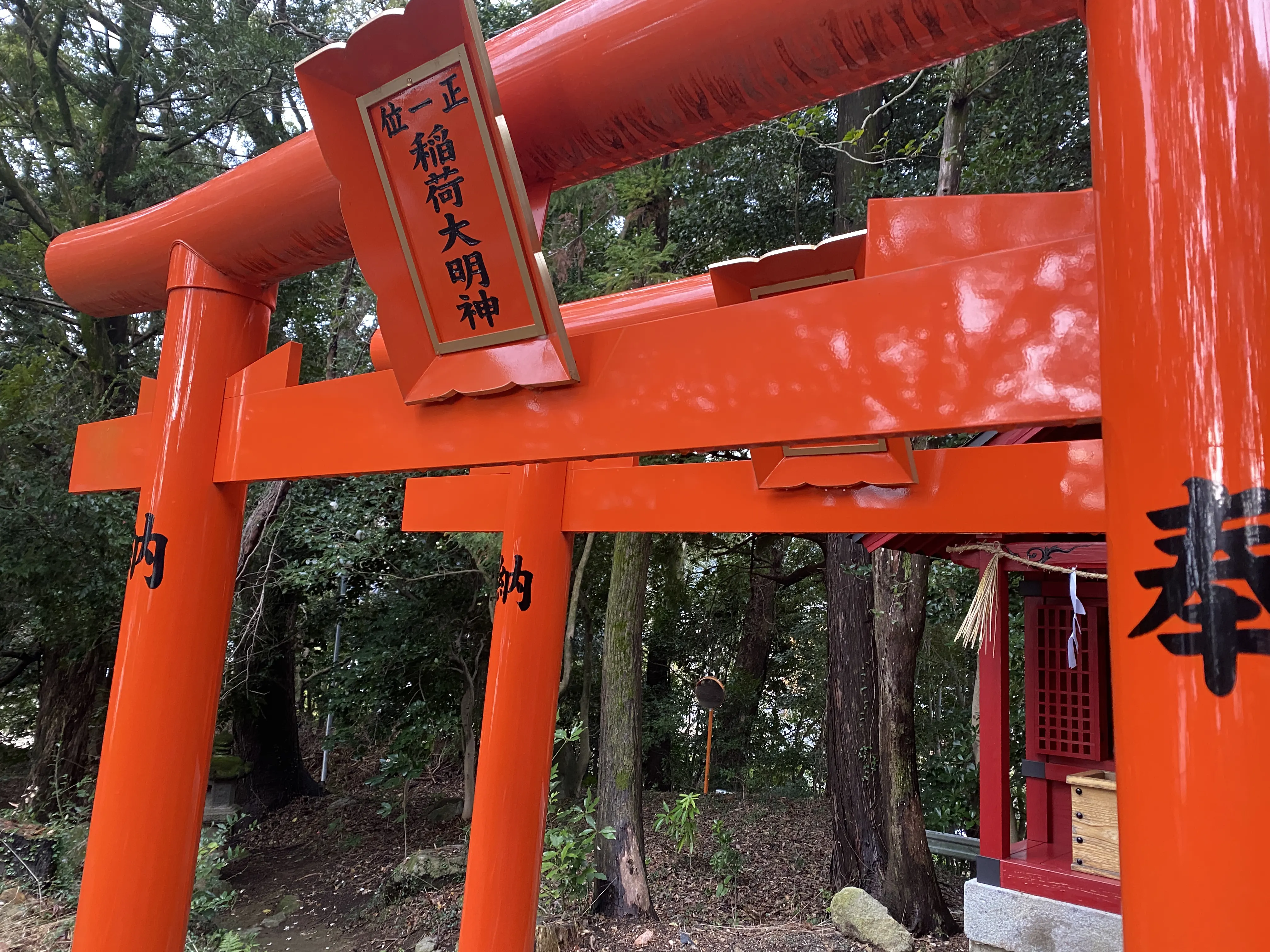 豪華なひな飾りをする筑紫神社12