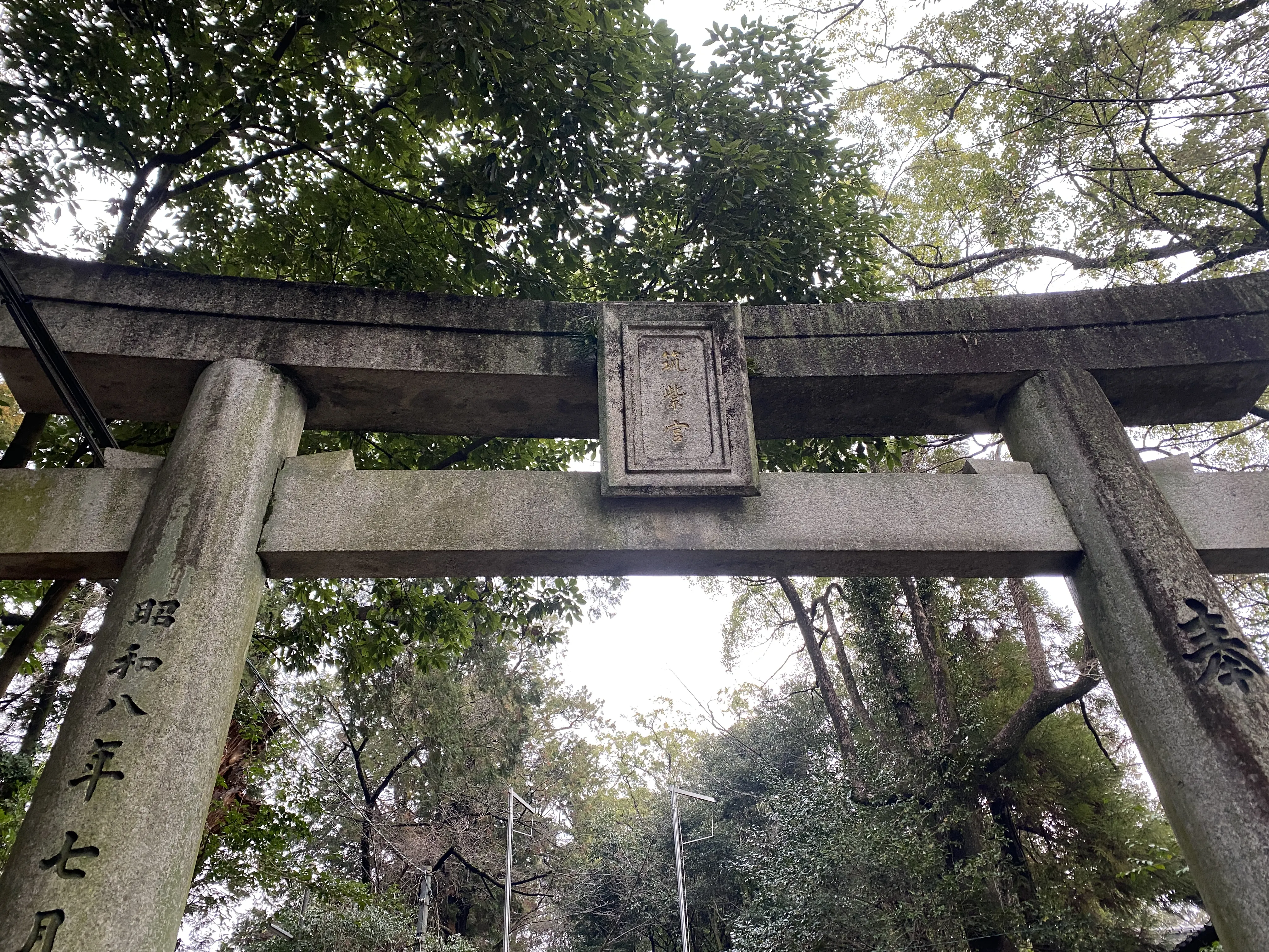 豪華なひな飾りをする筑紫神社3