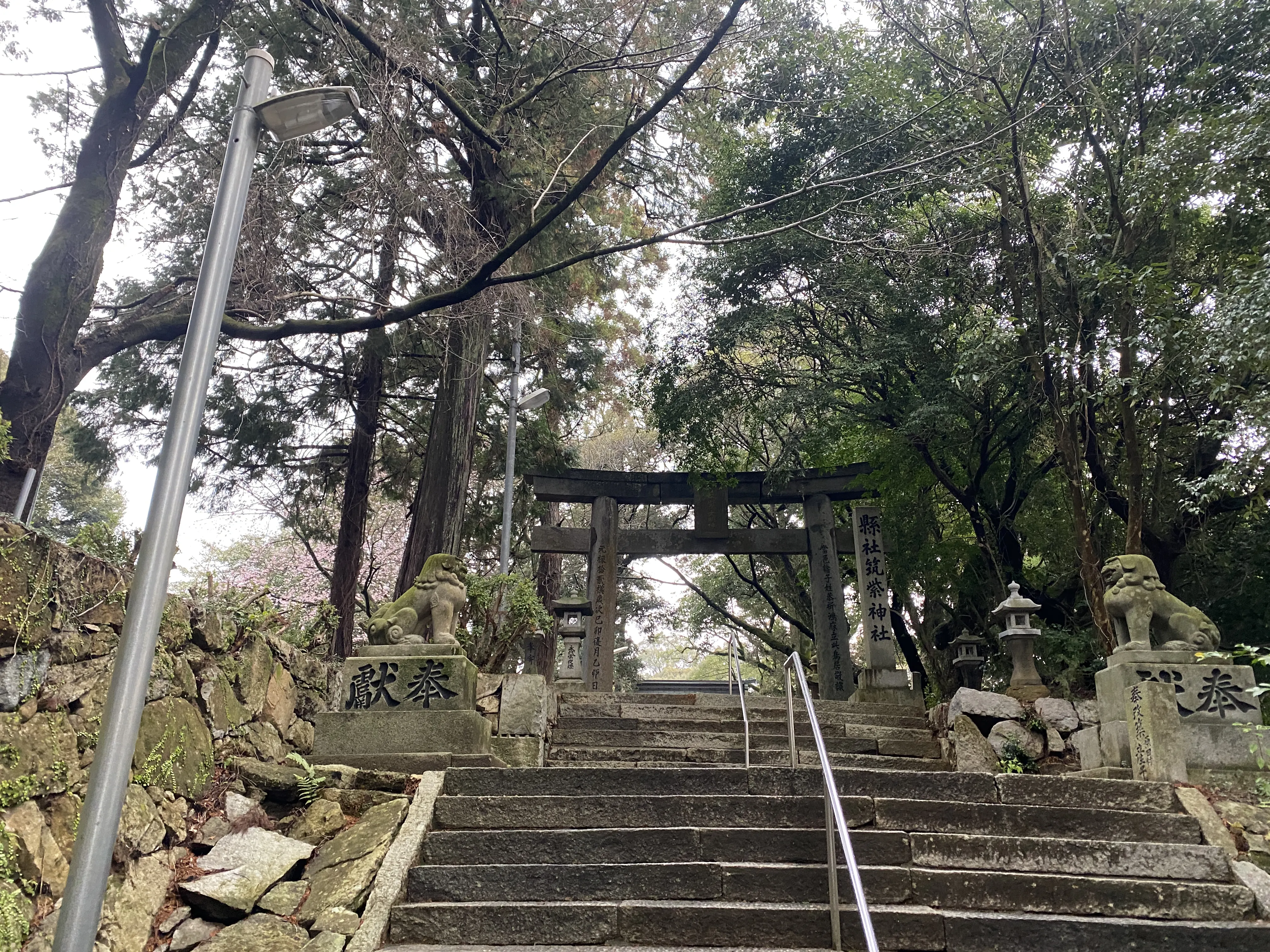 豪華なひな飾りをする筑紫神社4