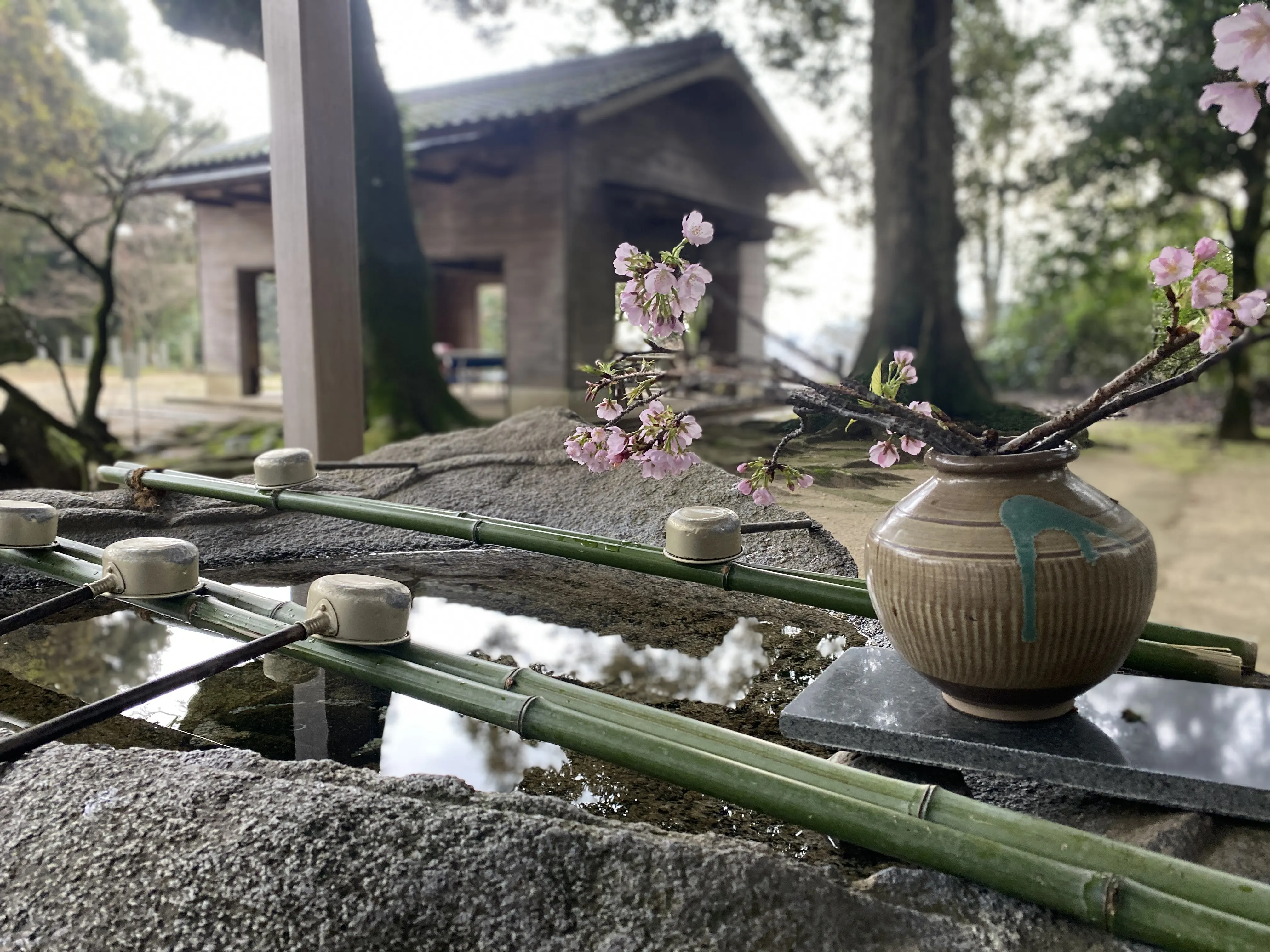 豪華なひな飾りをする筑紫神社6