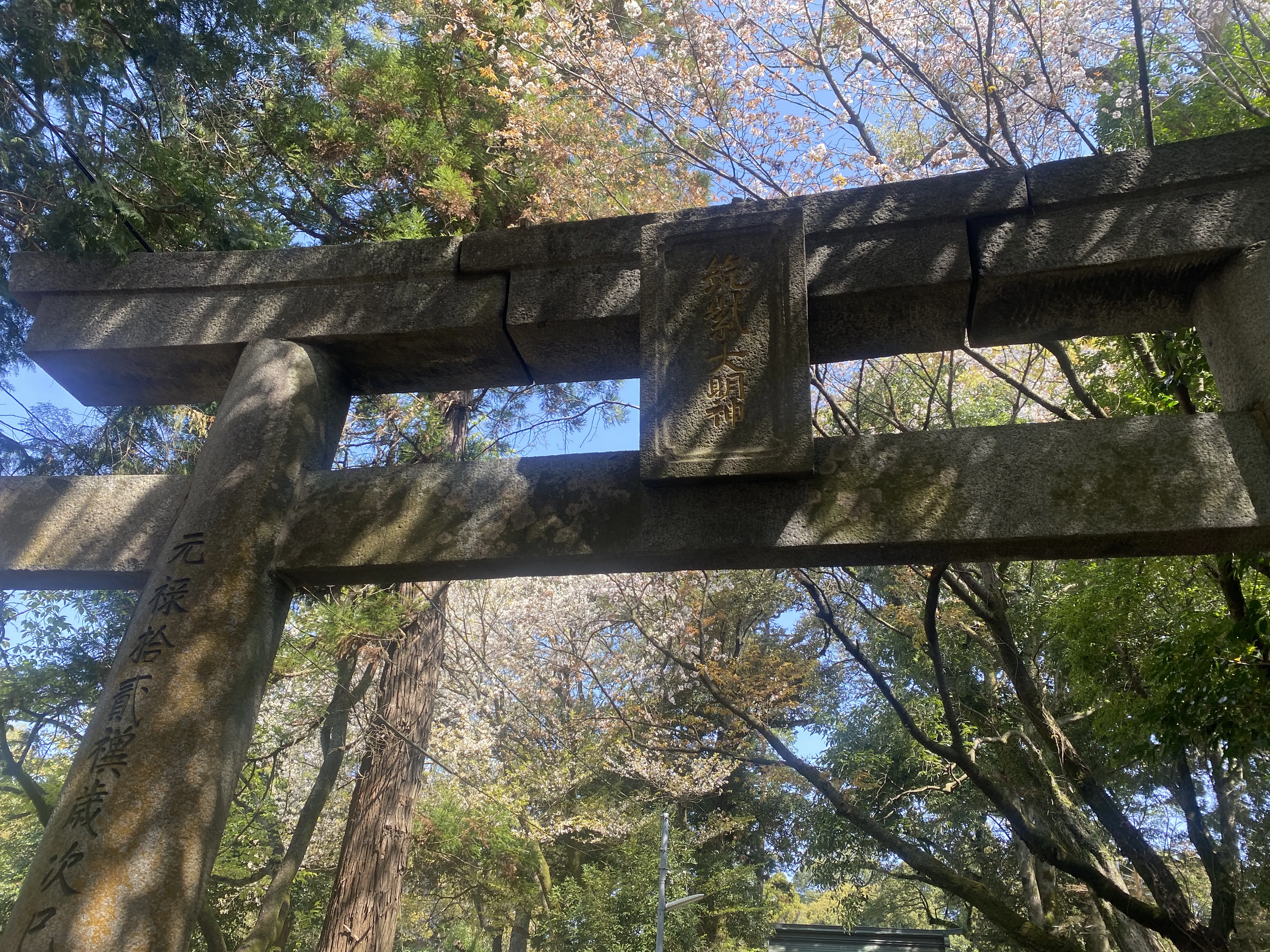 桜咲く筑紫神社で新たな門出を祈る2