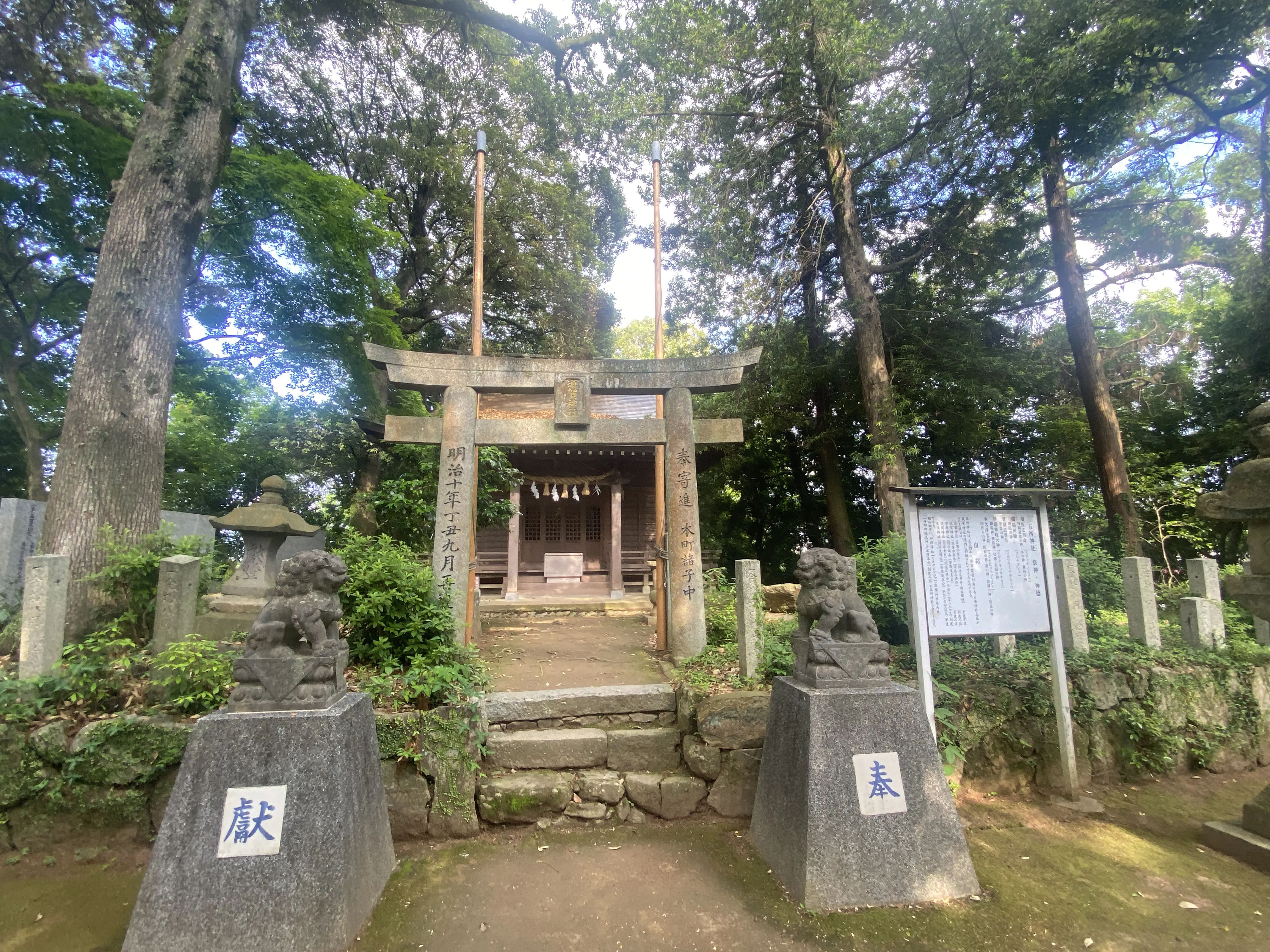 梅雨の晴れ日の参拝「筑紫神社」6